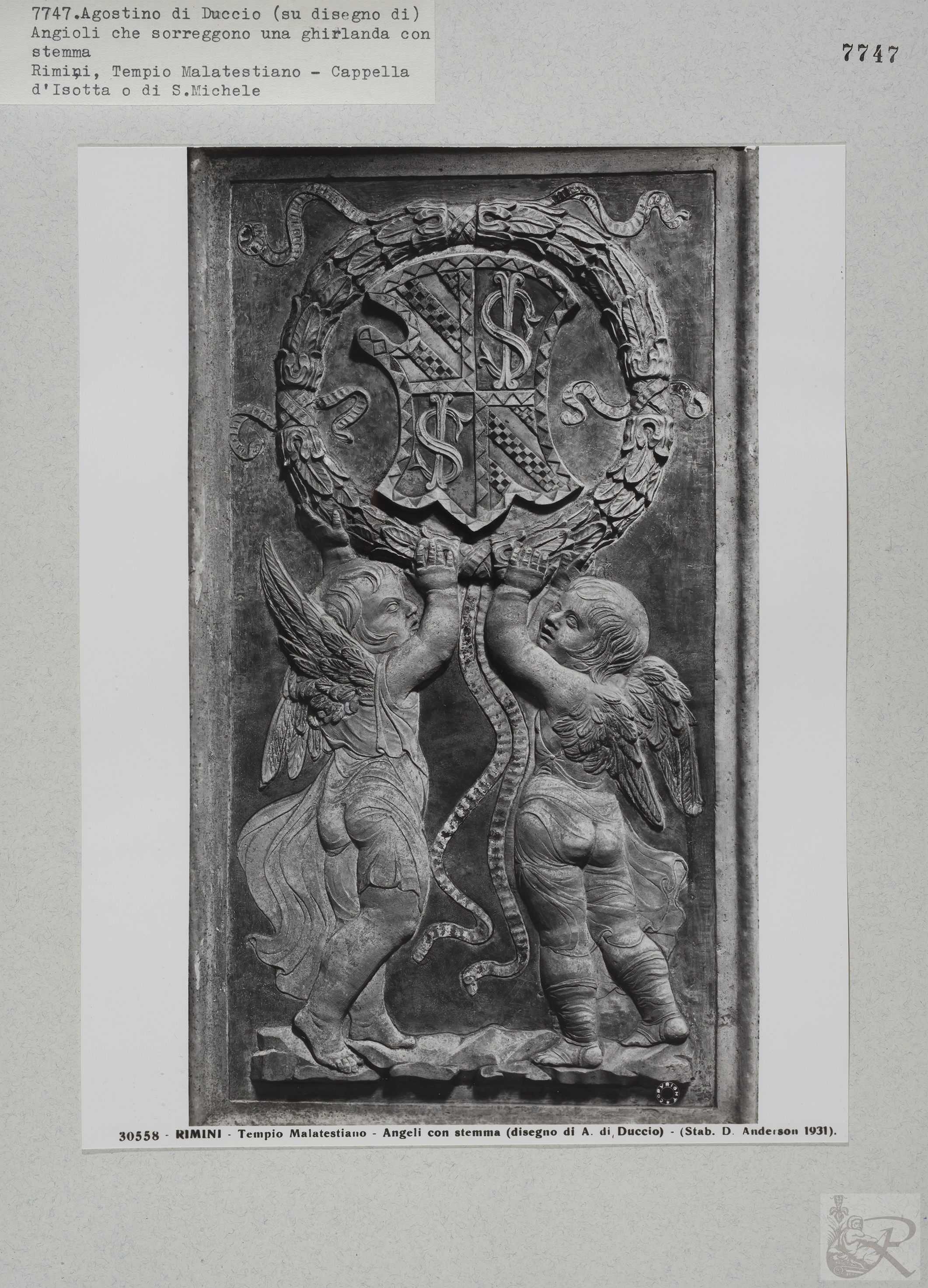 Immagine di anteprima