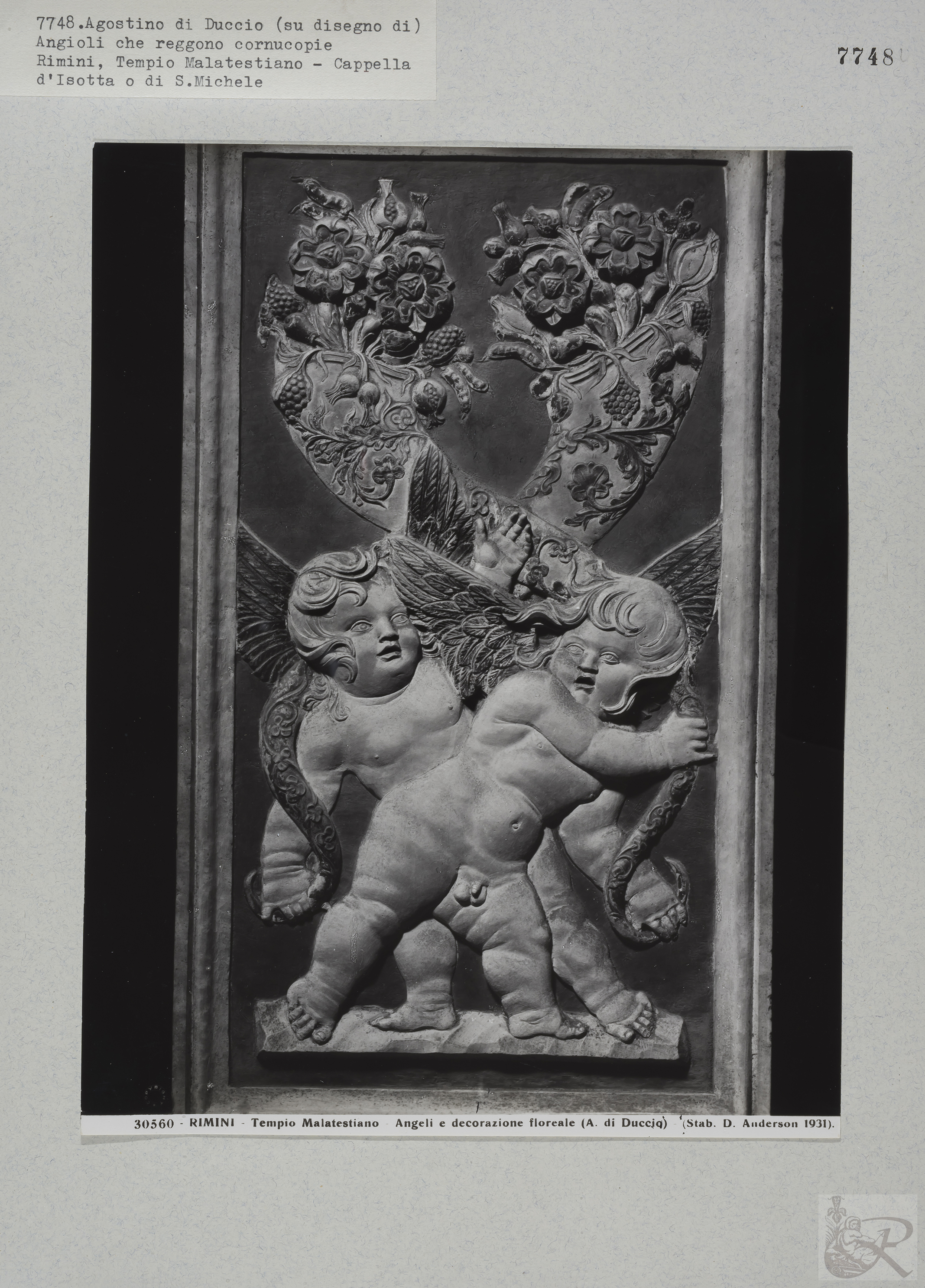 Immagine di anteprima