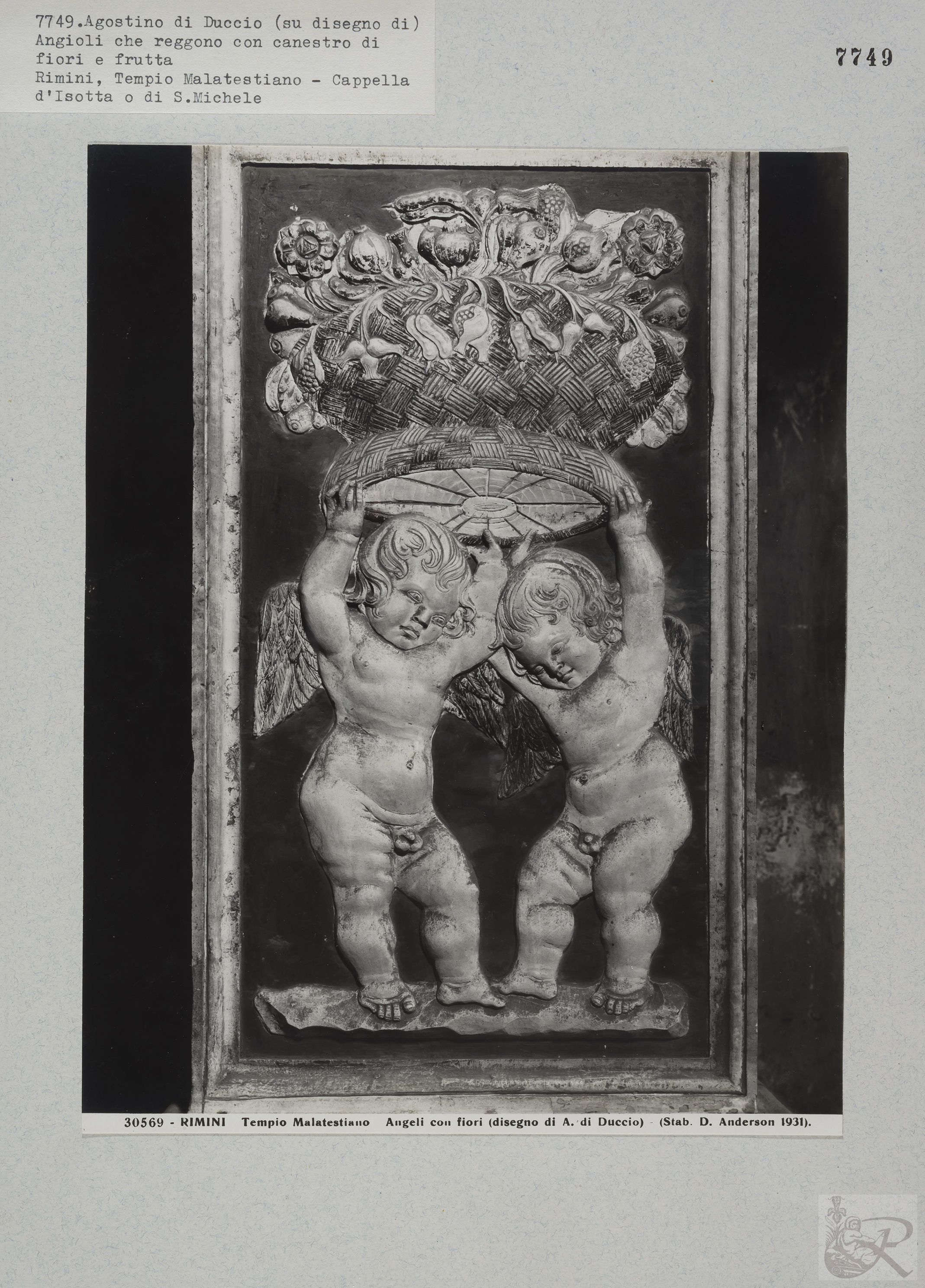 Immagine di anteprima