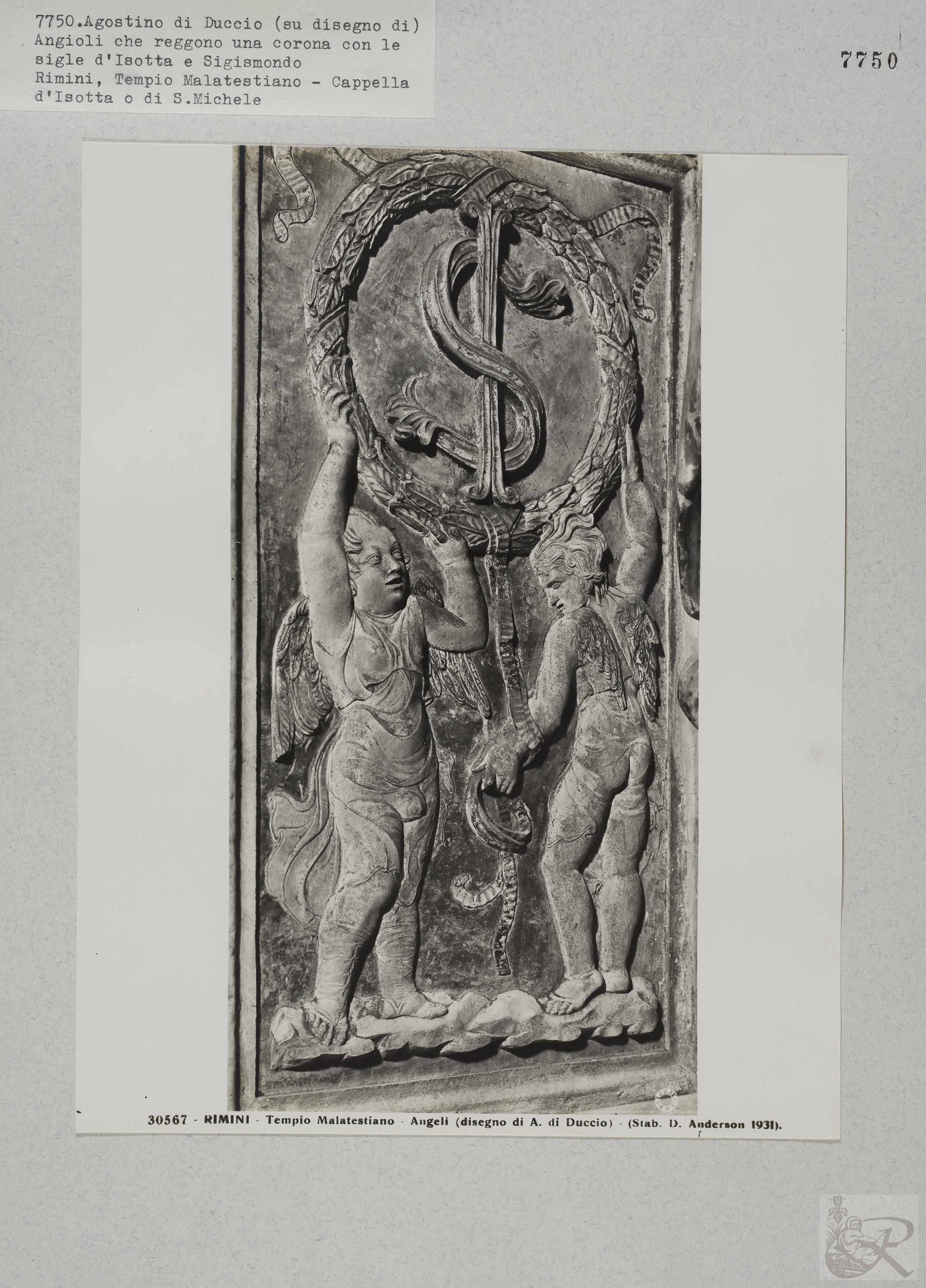 Immagine di anteprima