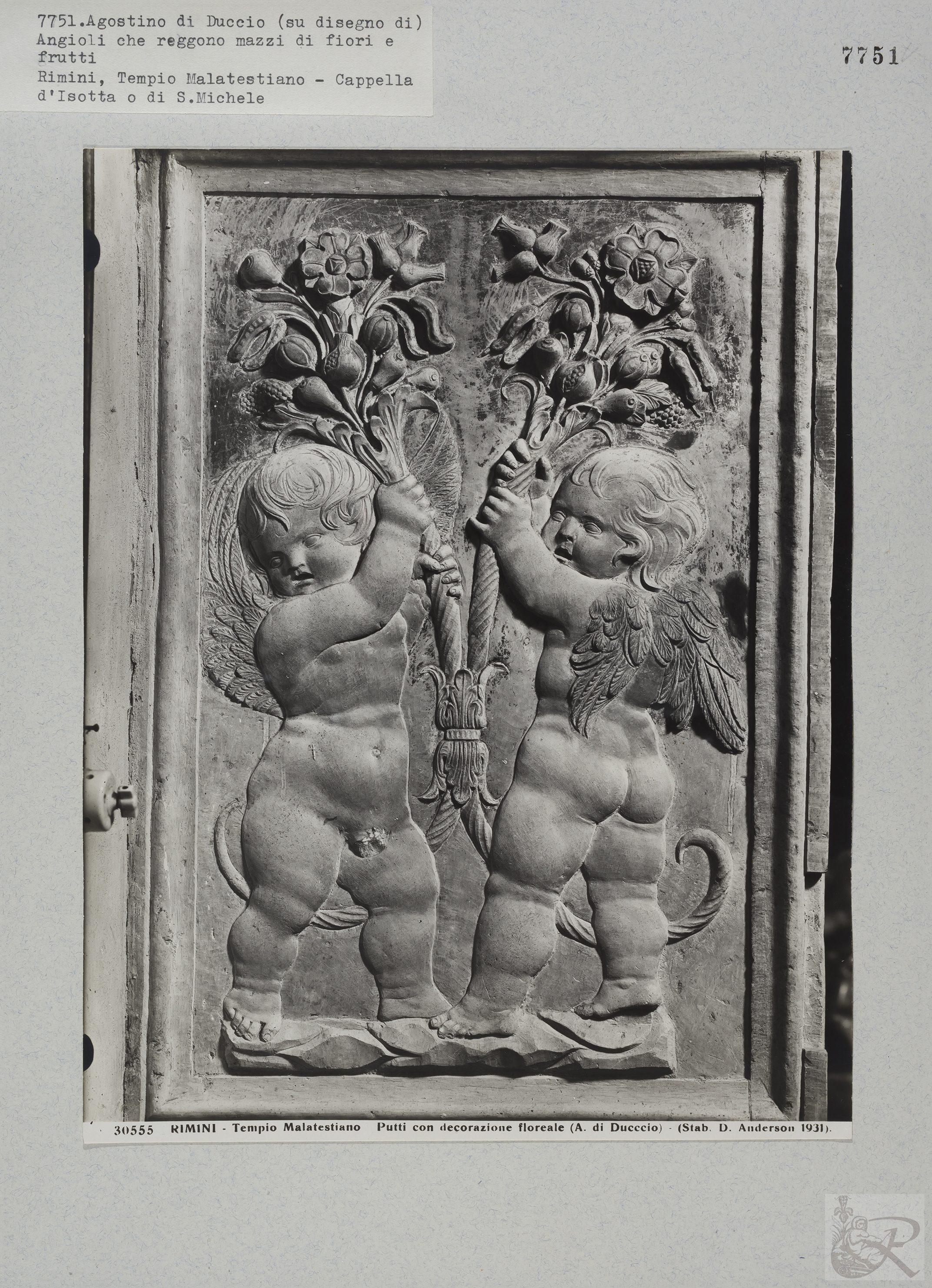 Immagine di anteprima