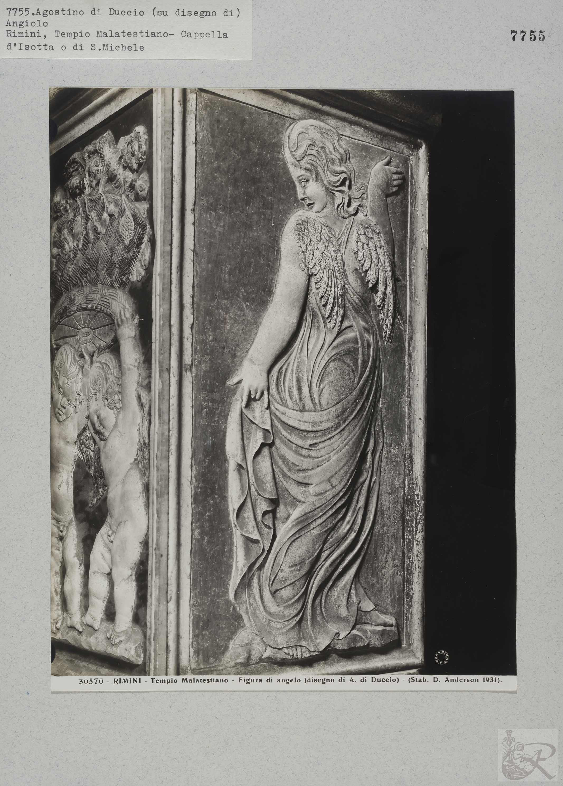 Immagine di anteprima