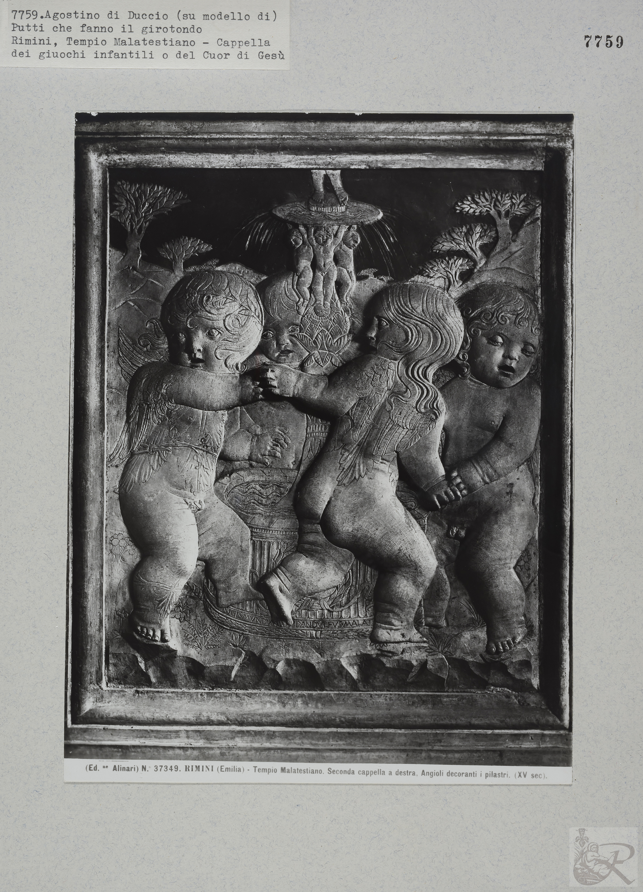 Immagine di anteprima