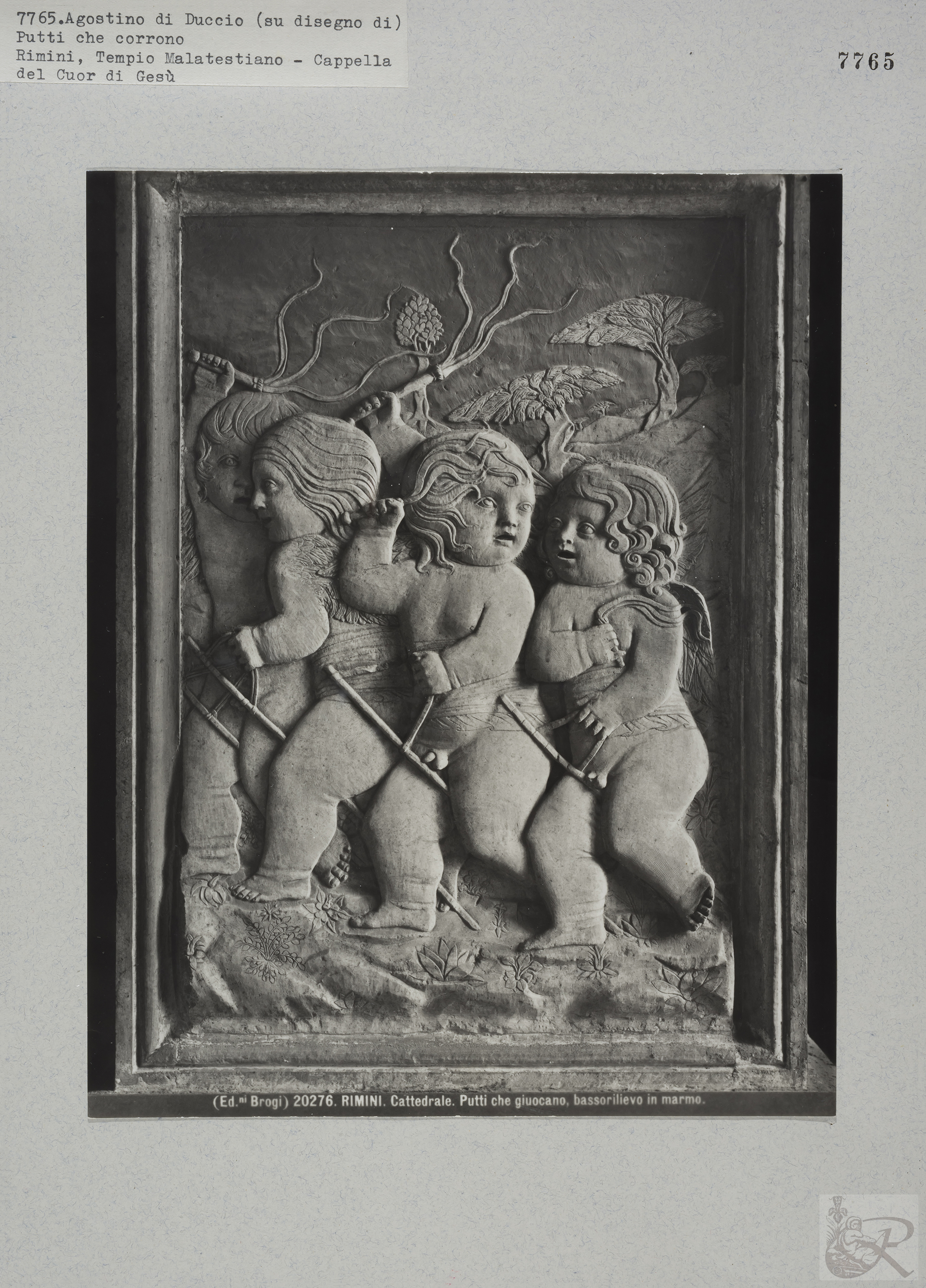 Immagine di anteprima