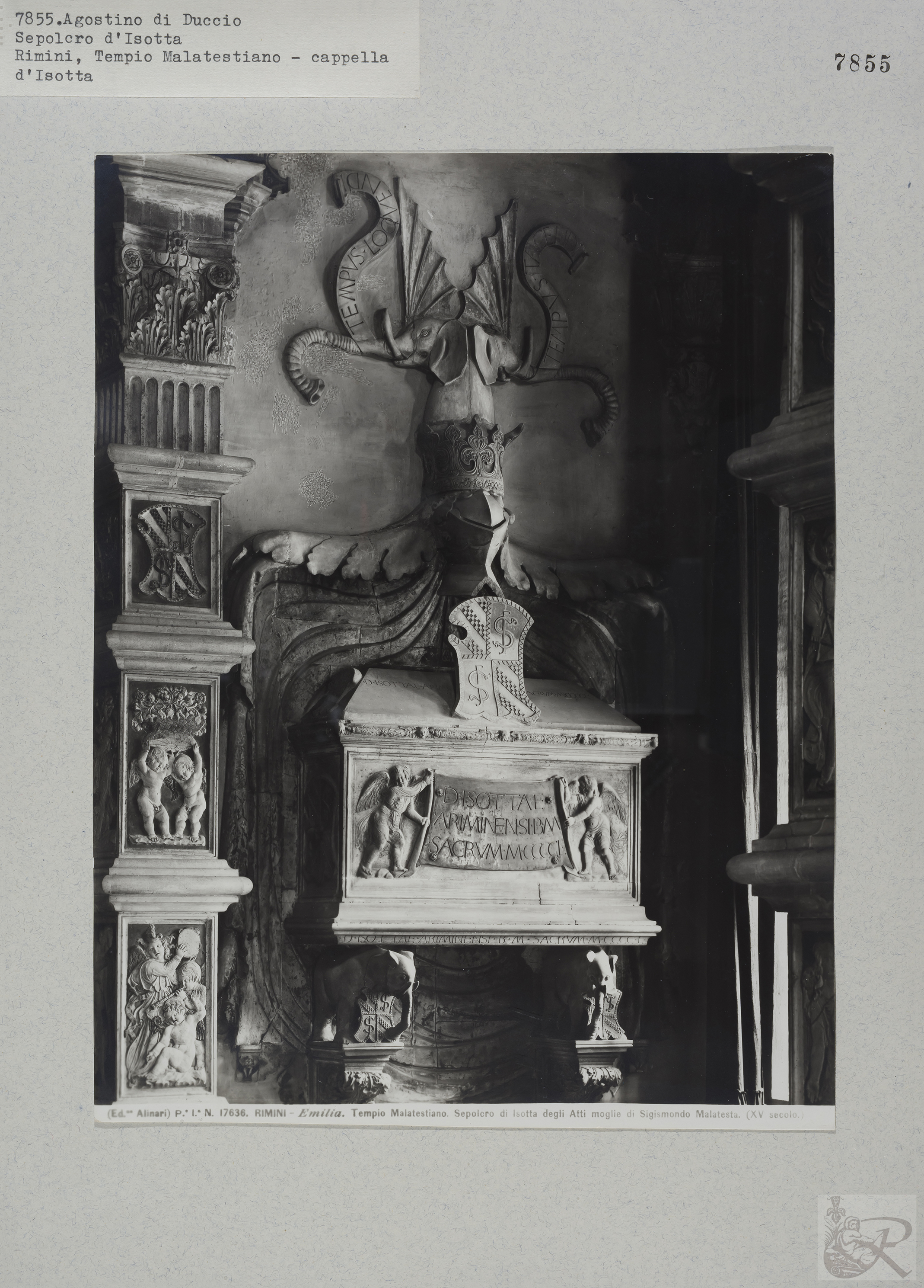 Immagine di anteprima