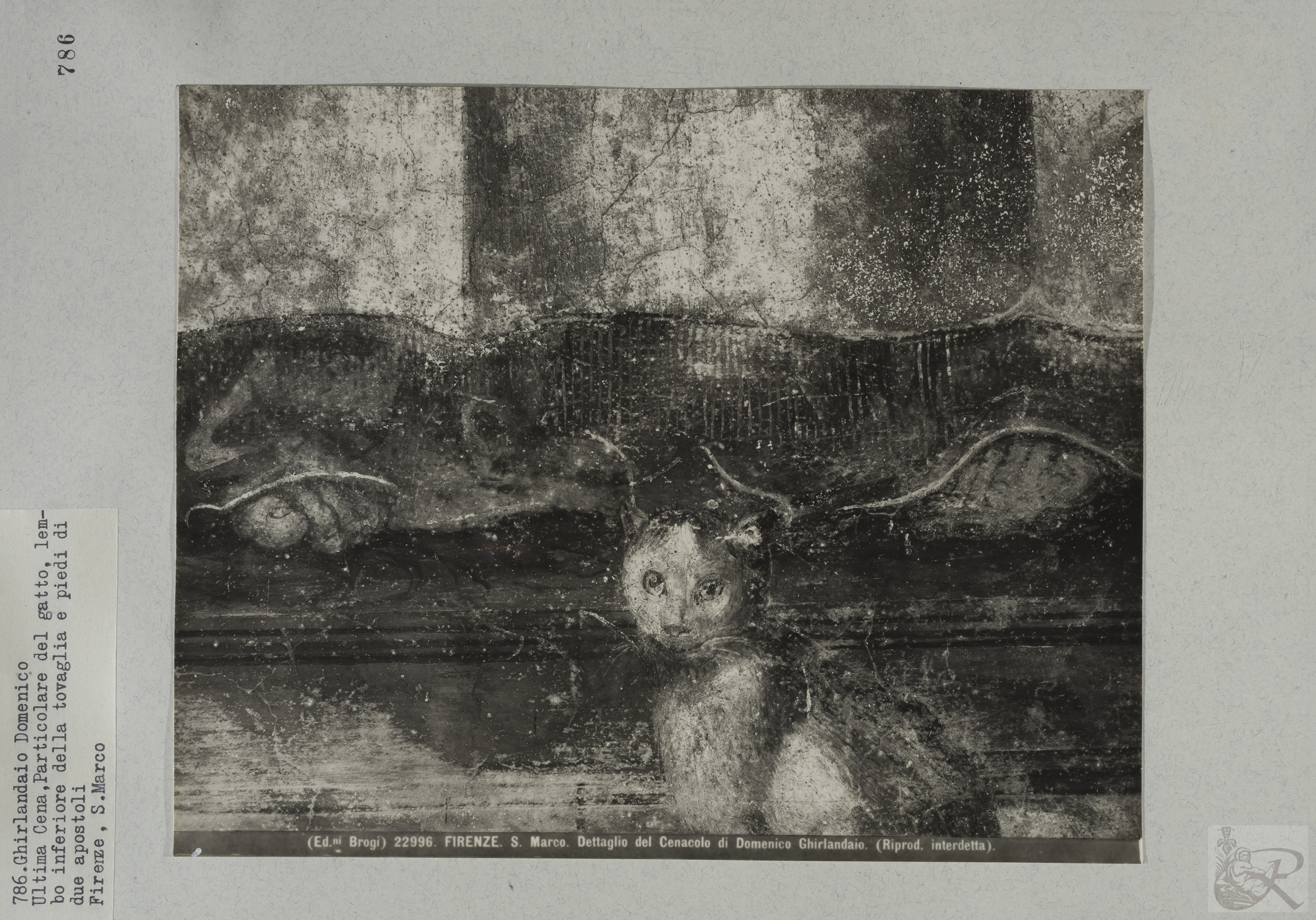 Immagine di anteprima