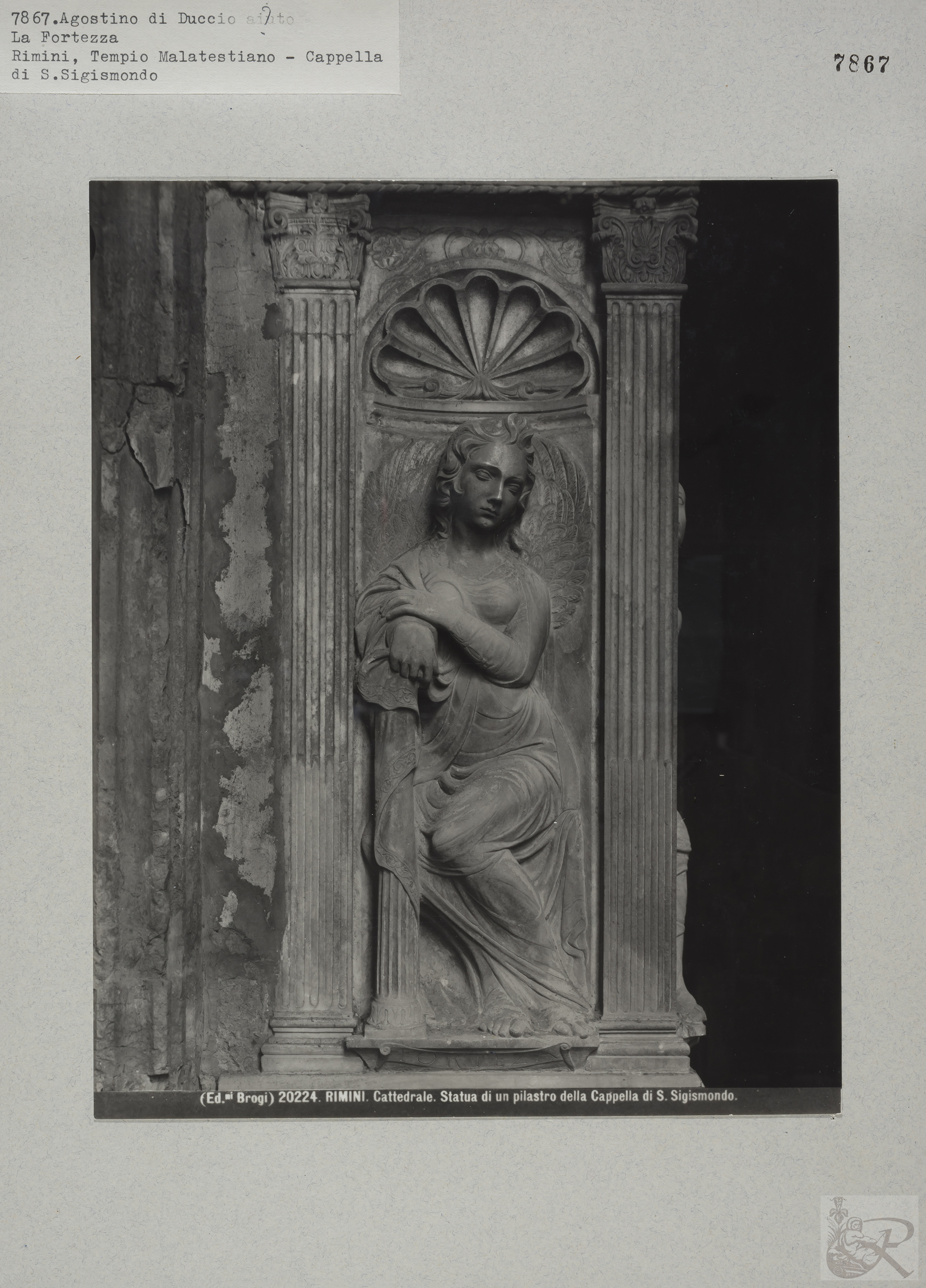 Immagine di anteprima