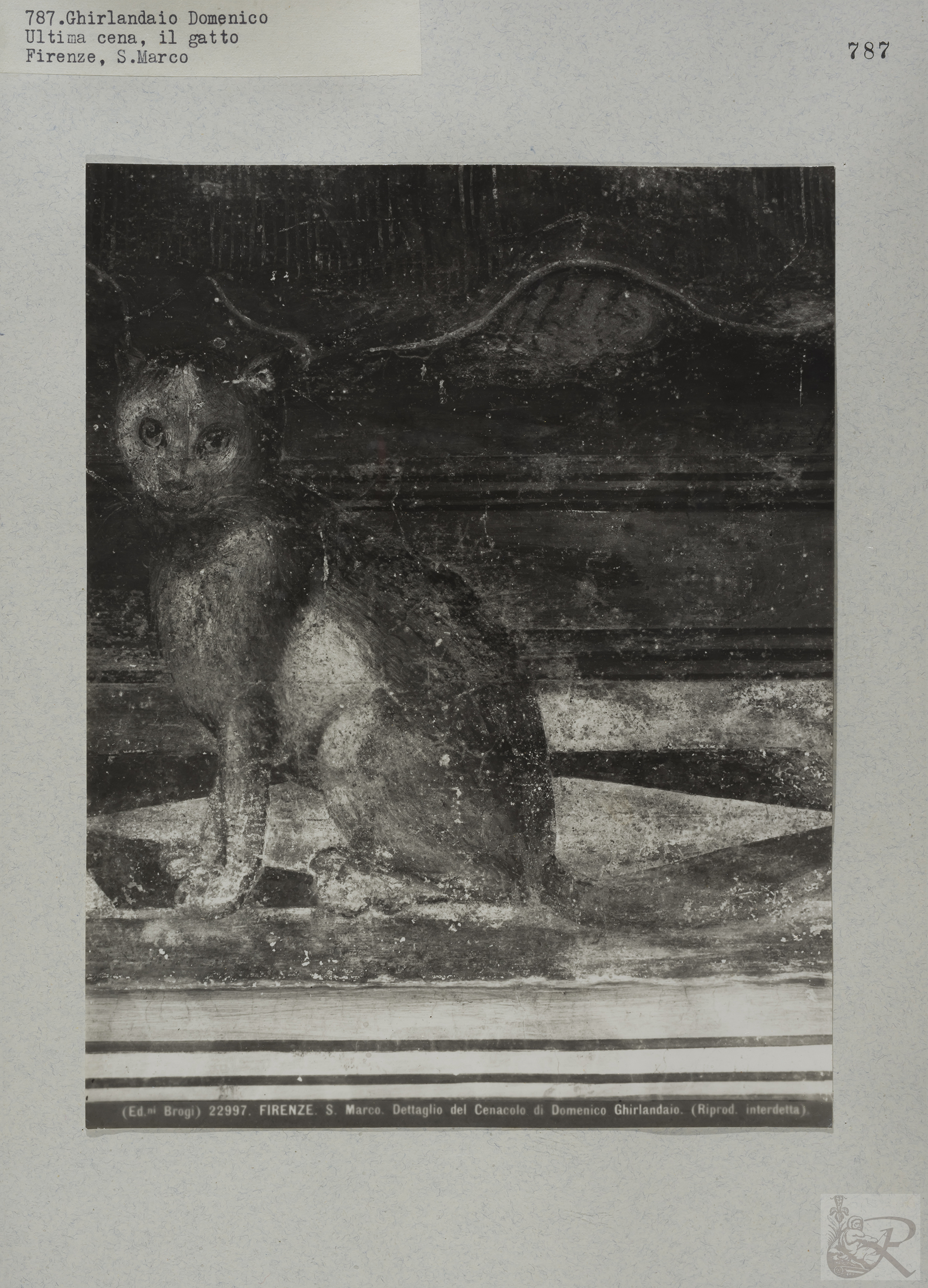 Immagine di anteprima