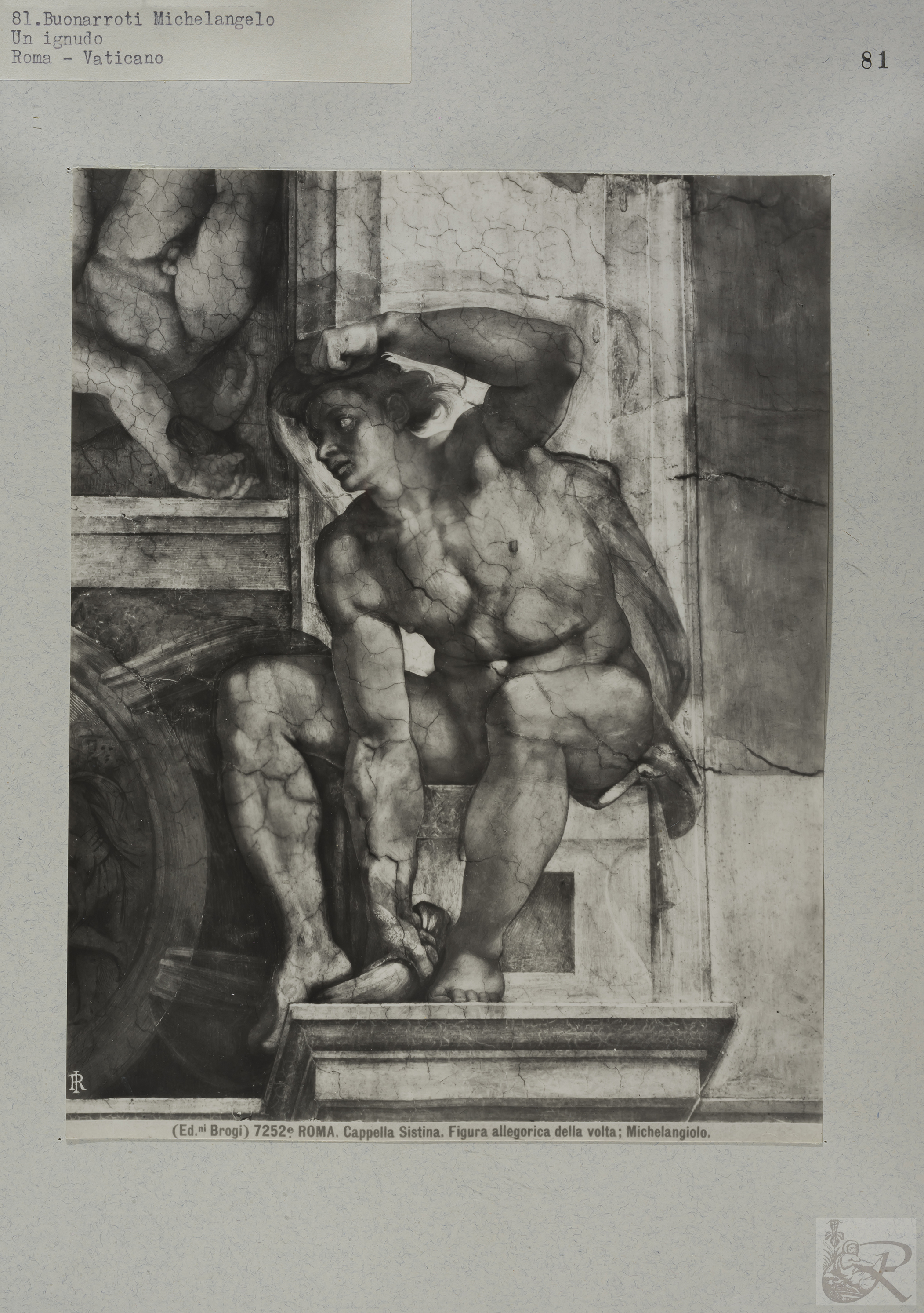 Immagine di anteprima