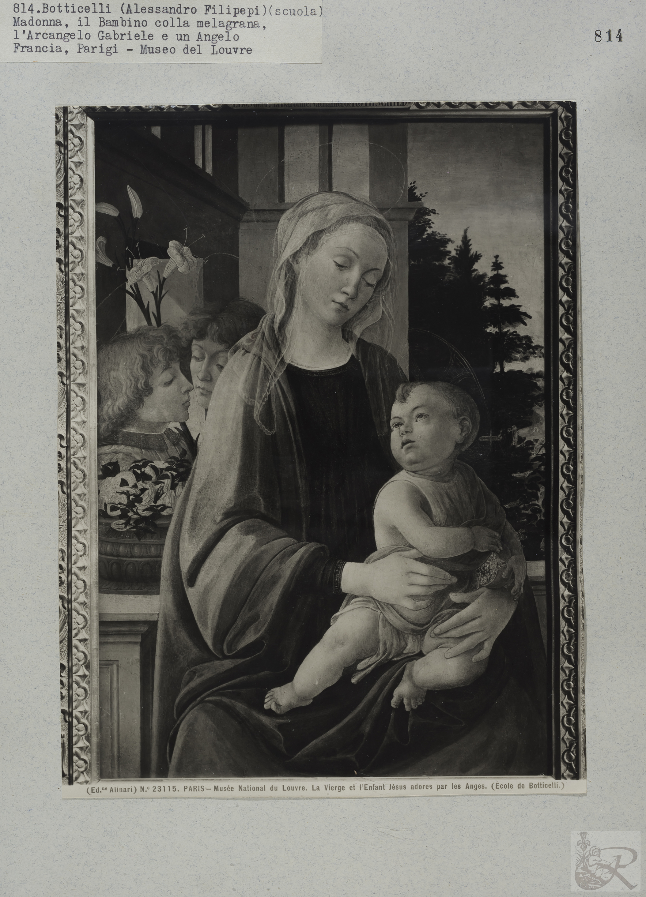 Immagine di anteprima