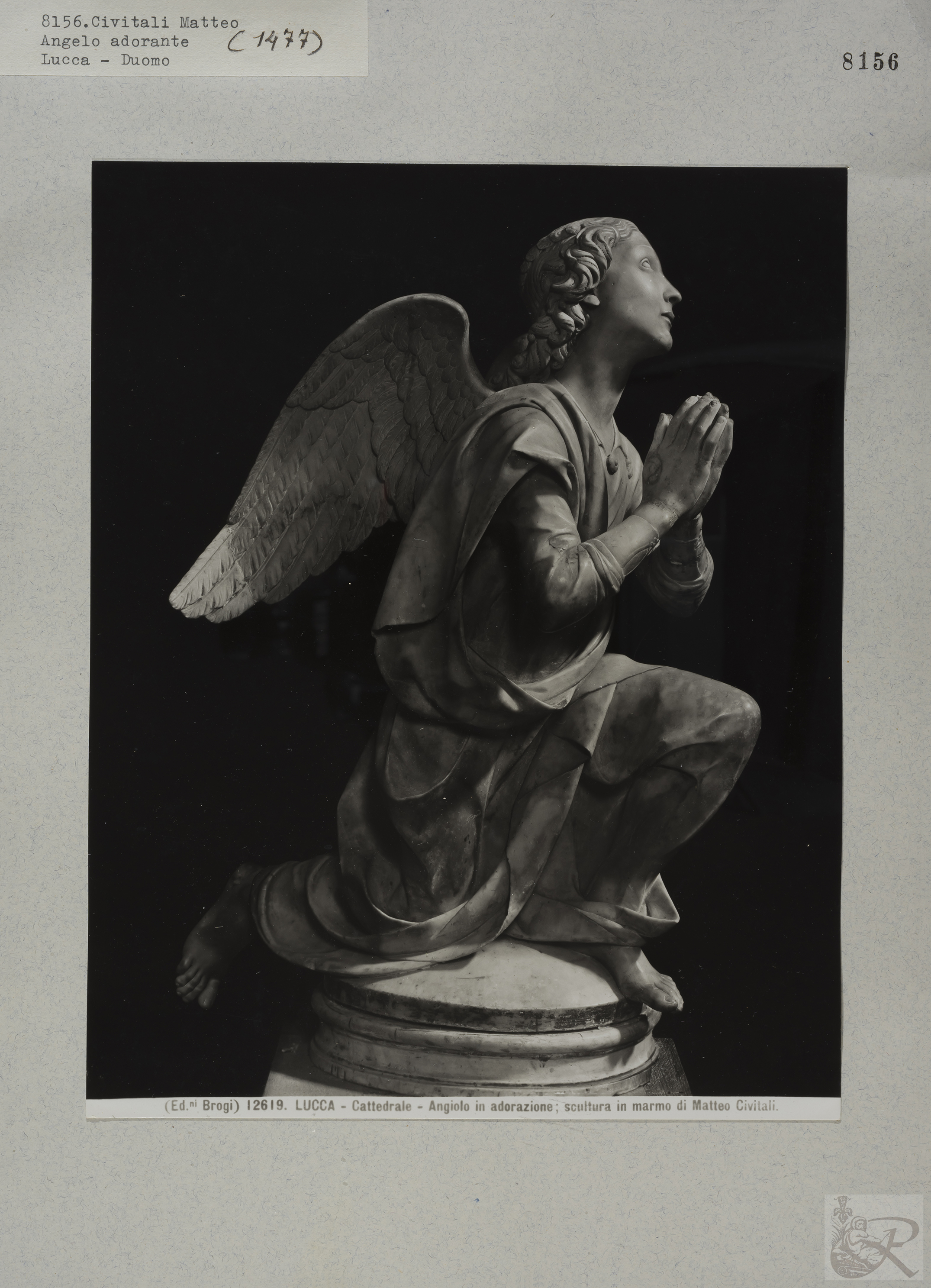 Immagine di anteprima