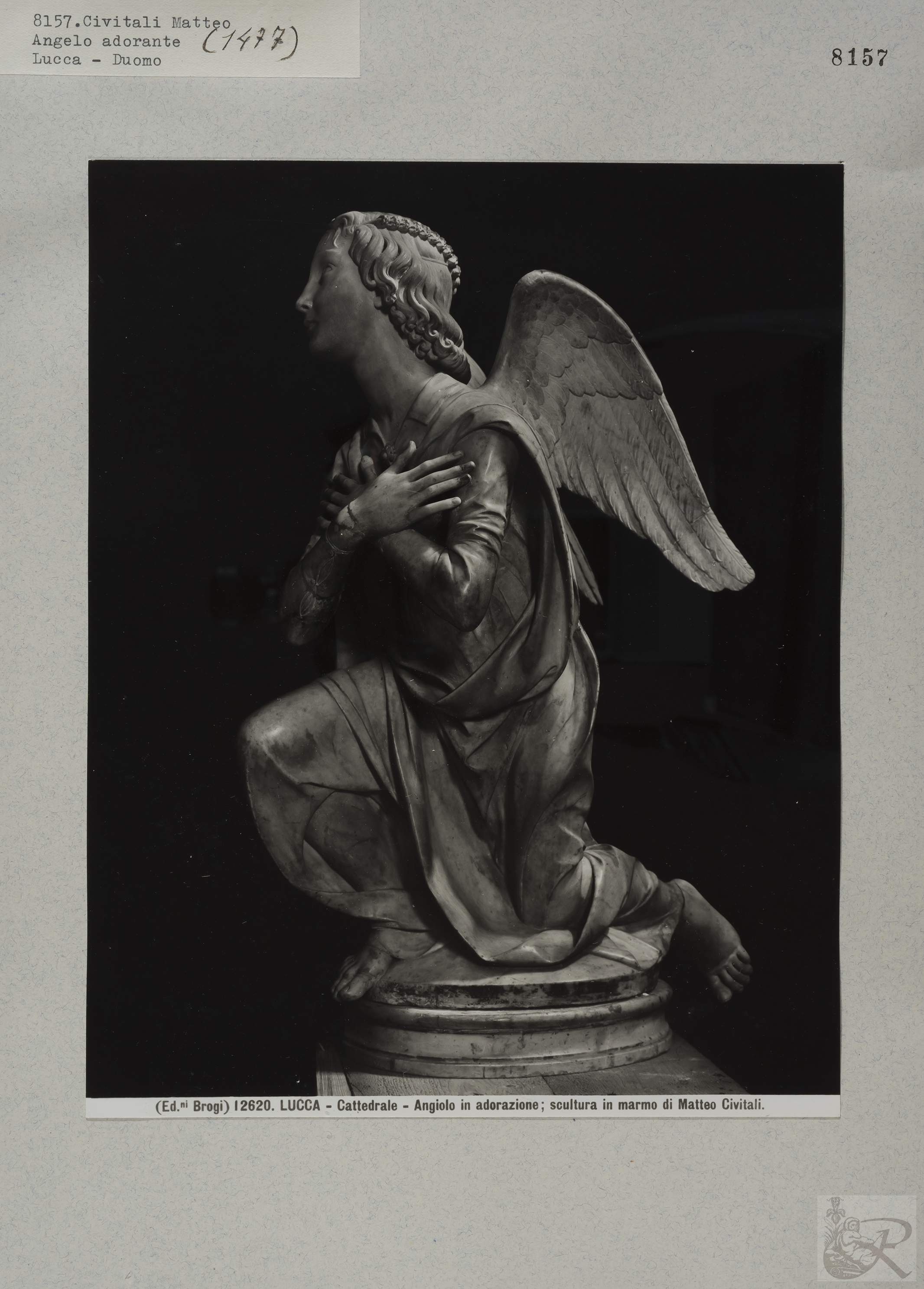 Immagine di anteprima