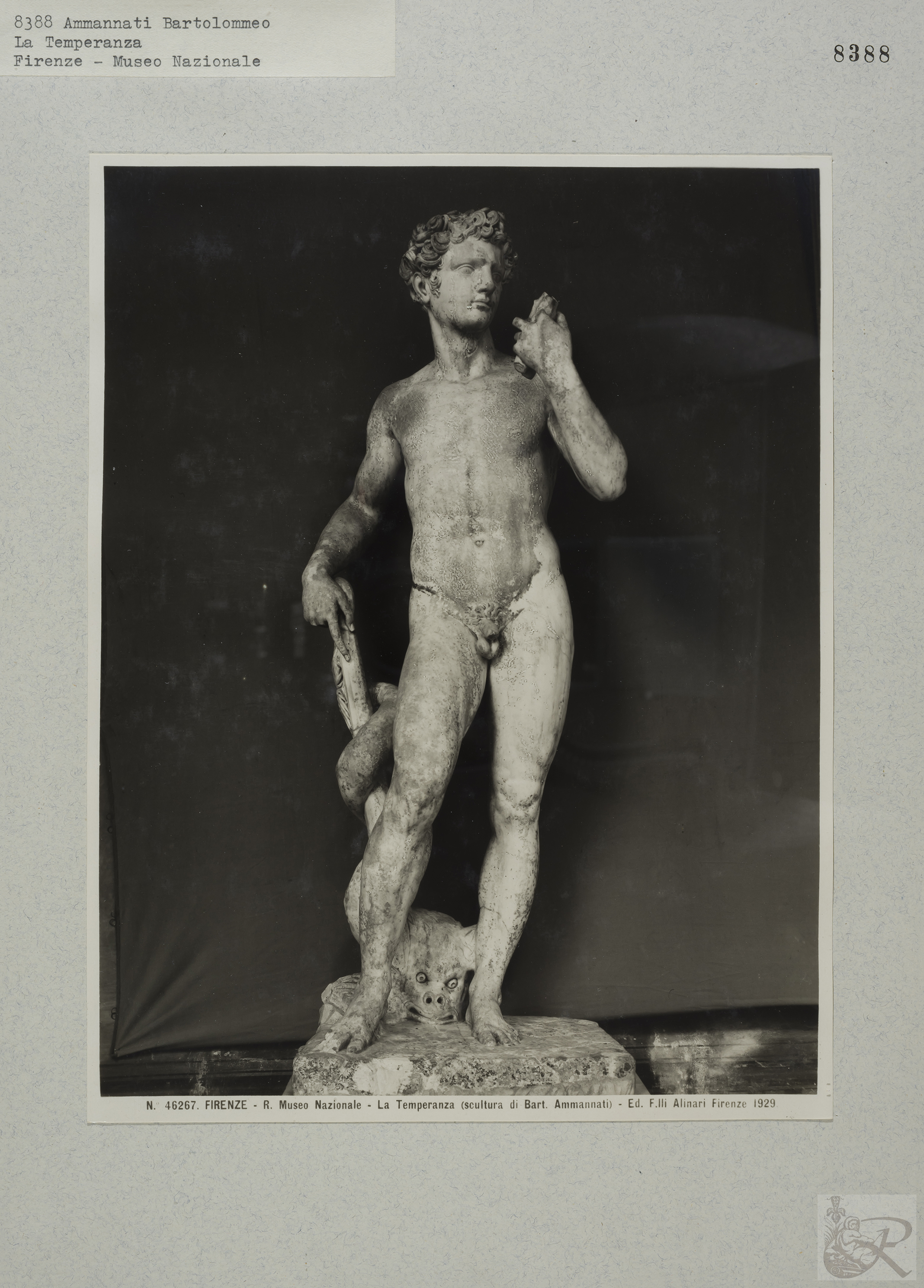 Immagine di anteprima