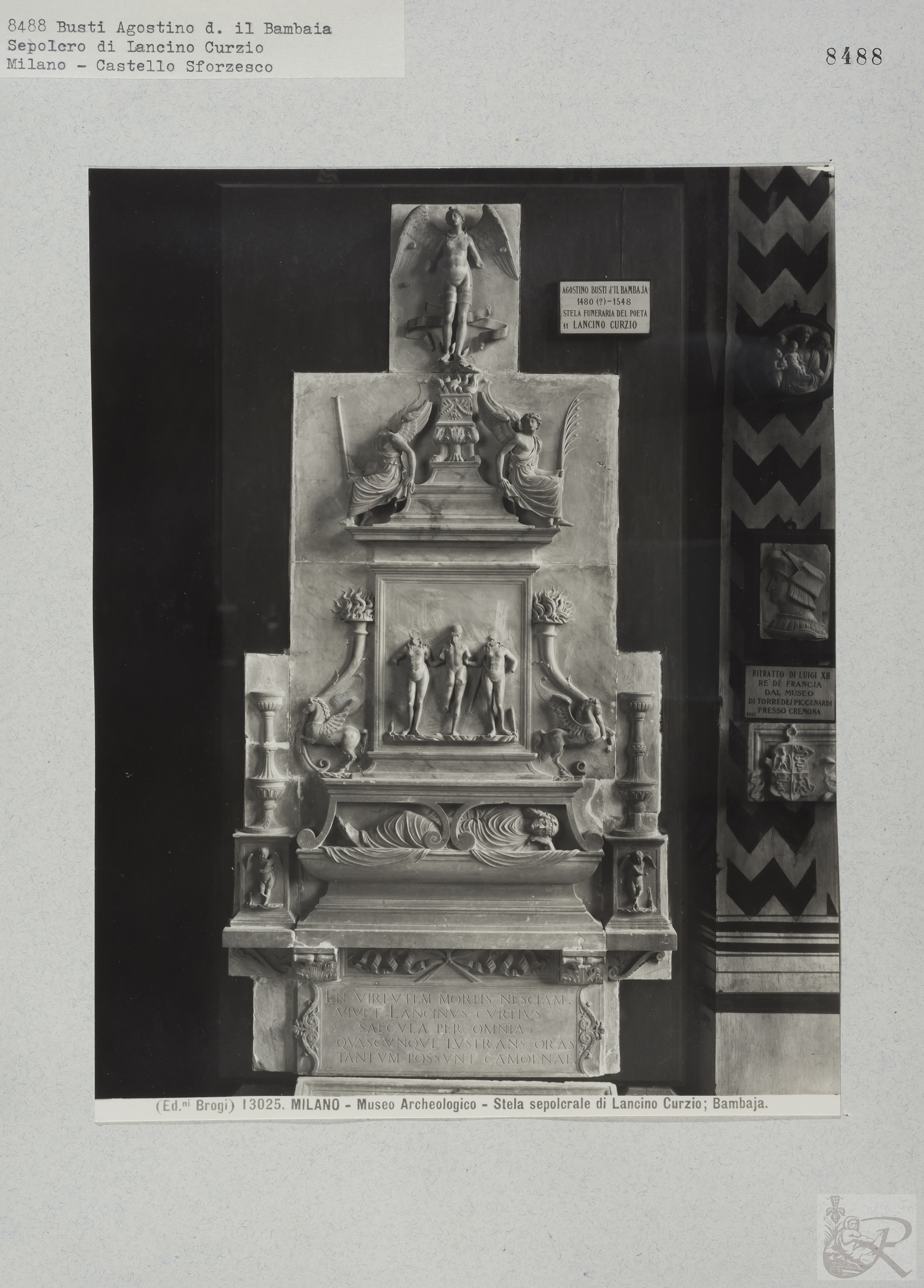 Immagine di anteprima