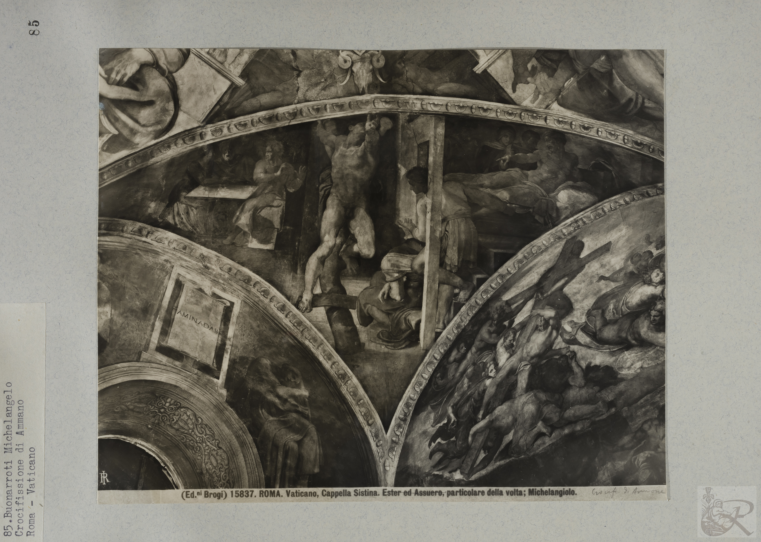 Immagine di anteprima