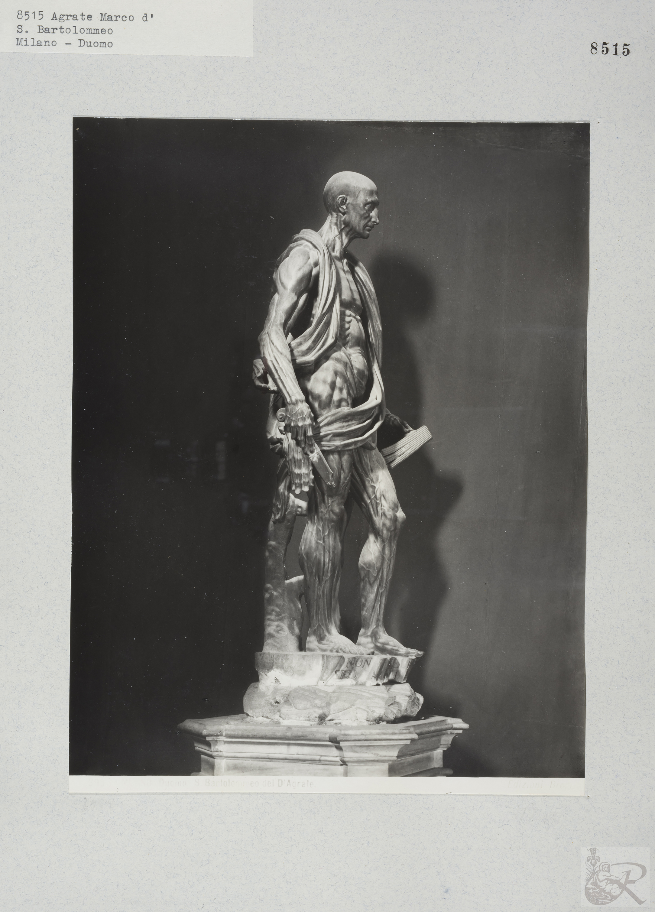 Immagine di anteprima