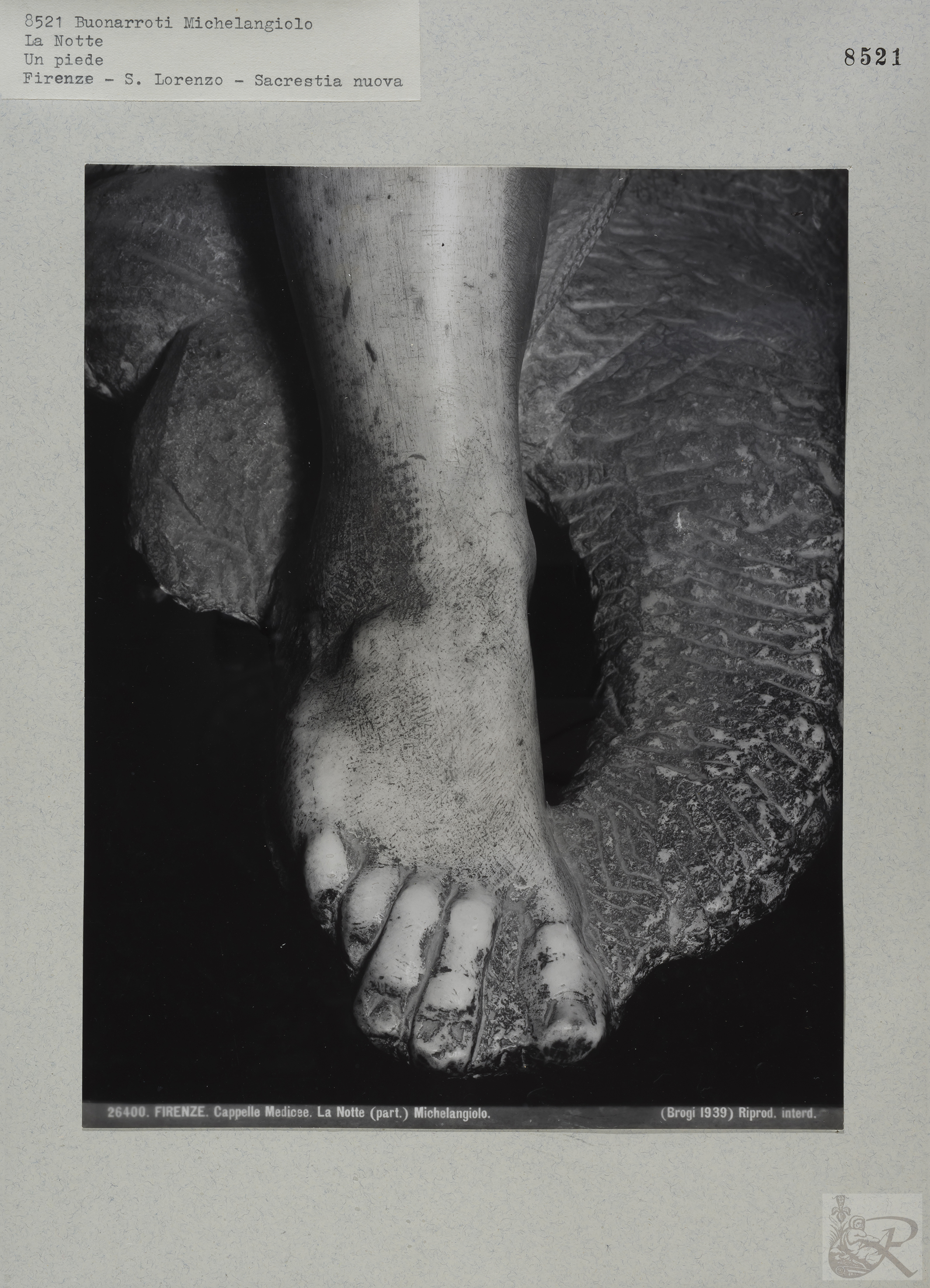 Immagine di anteprima