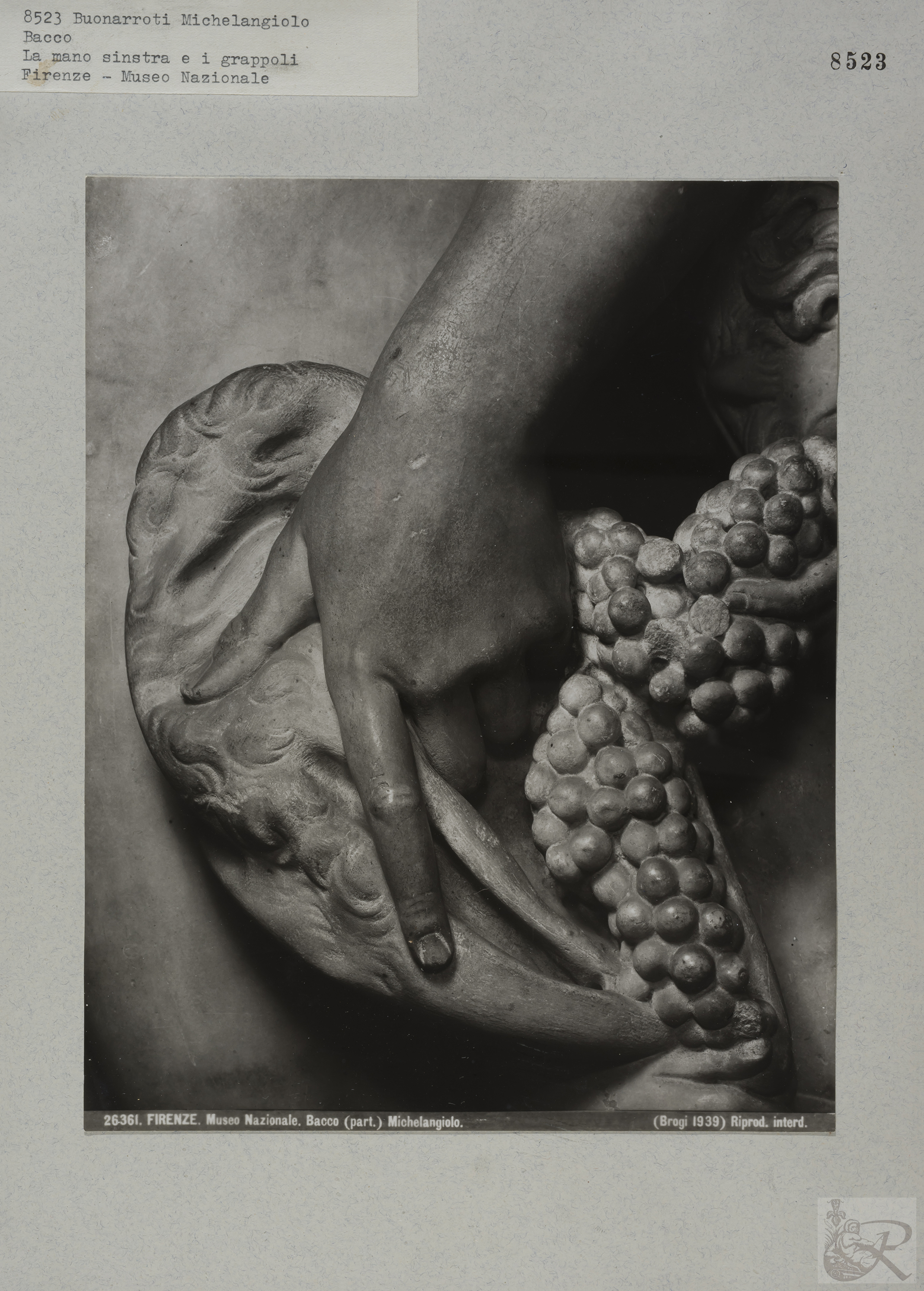 Immagine di anteprima