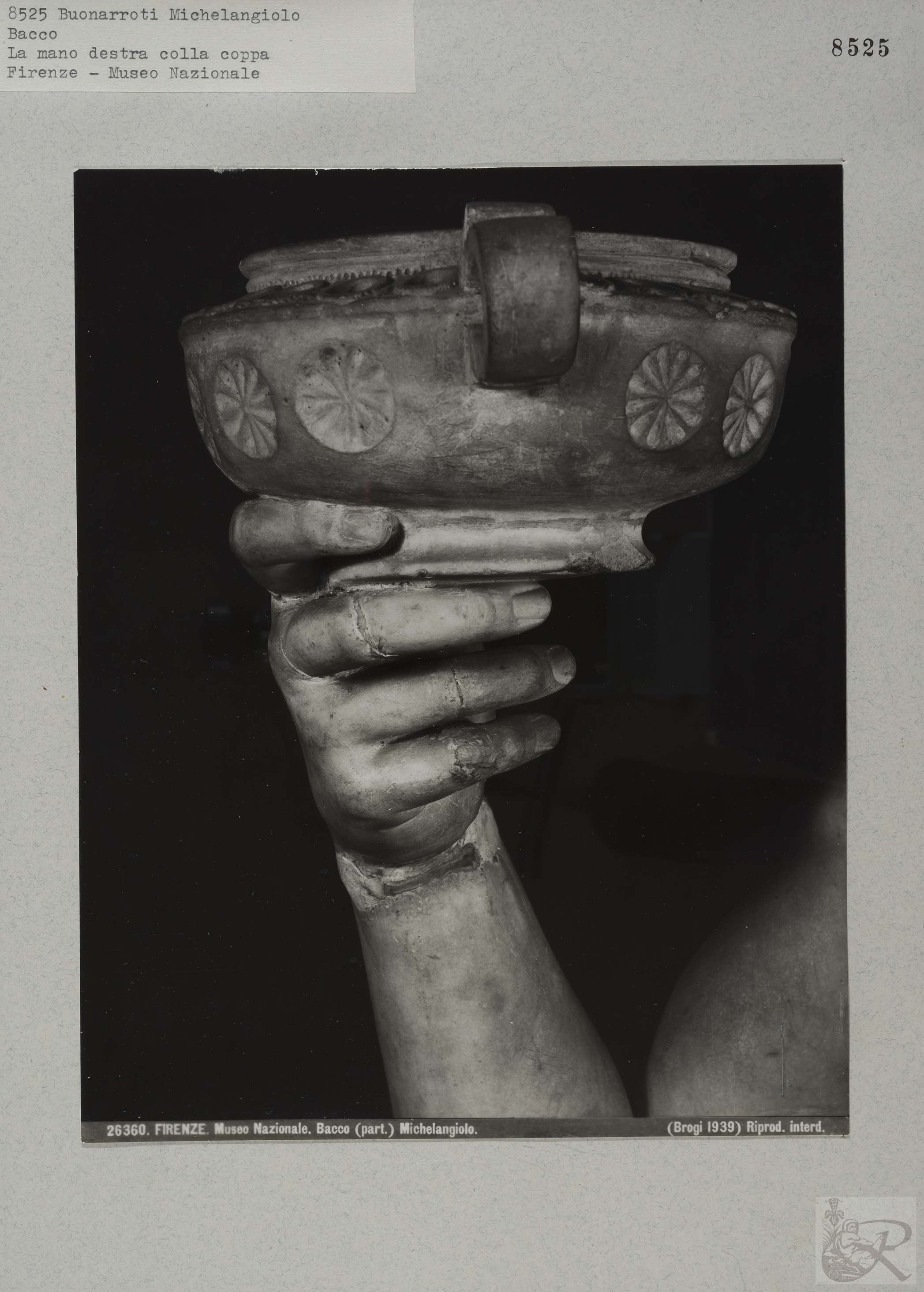 Immagine di anteprima