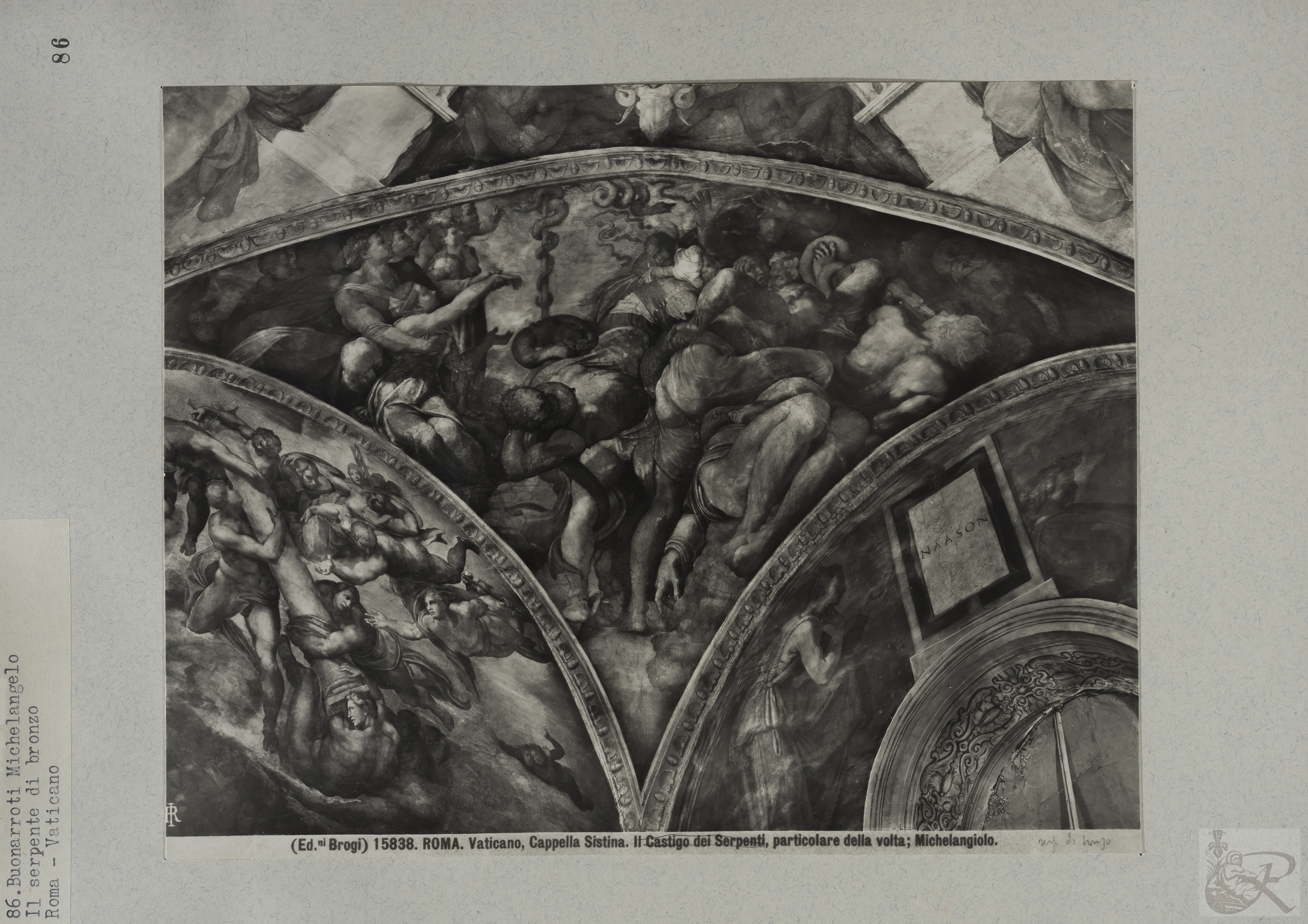 Immagine di anteprima