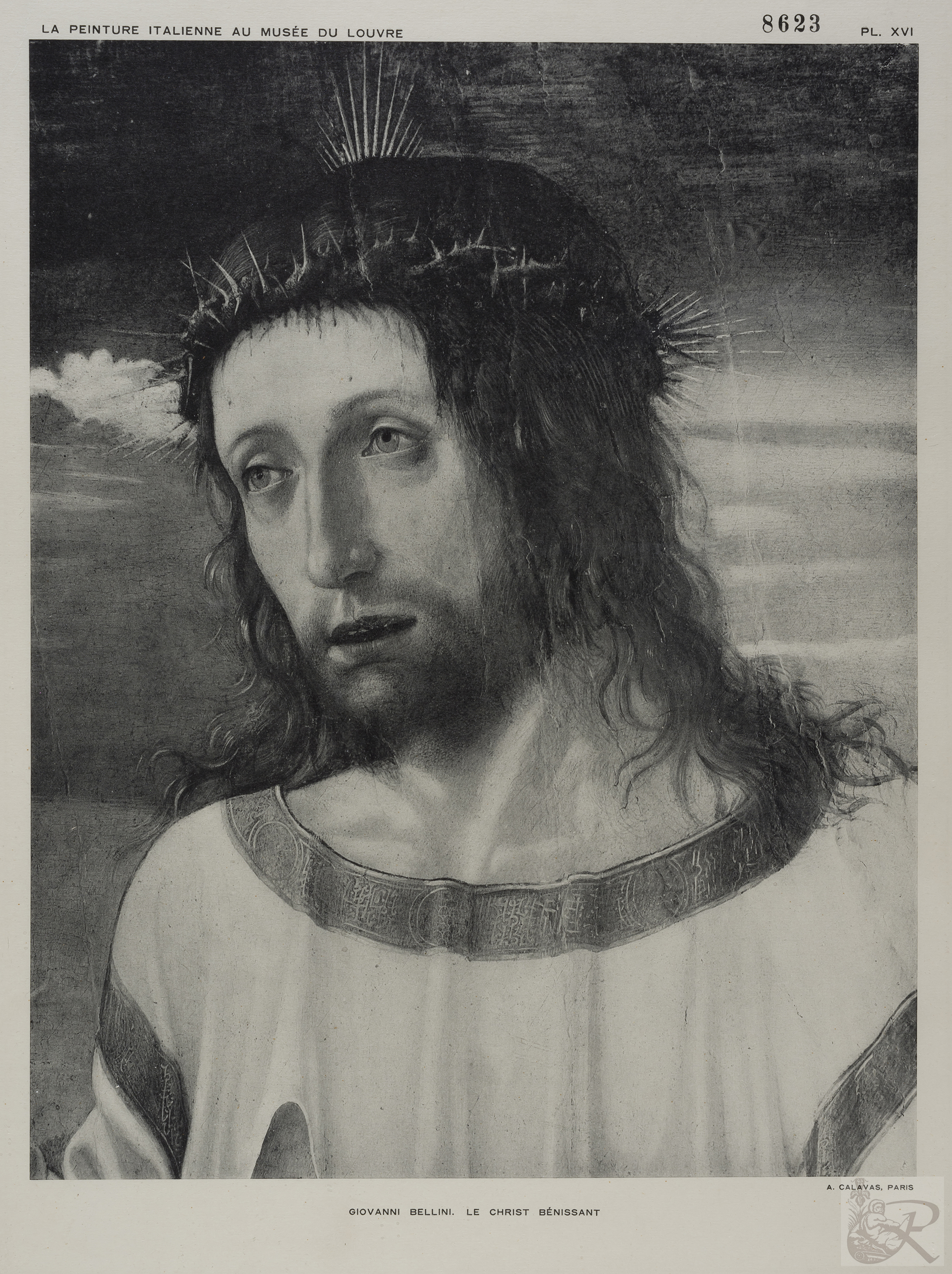 Immagine di anteprima