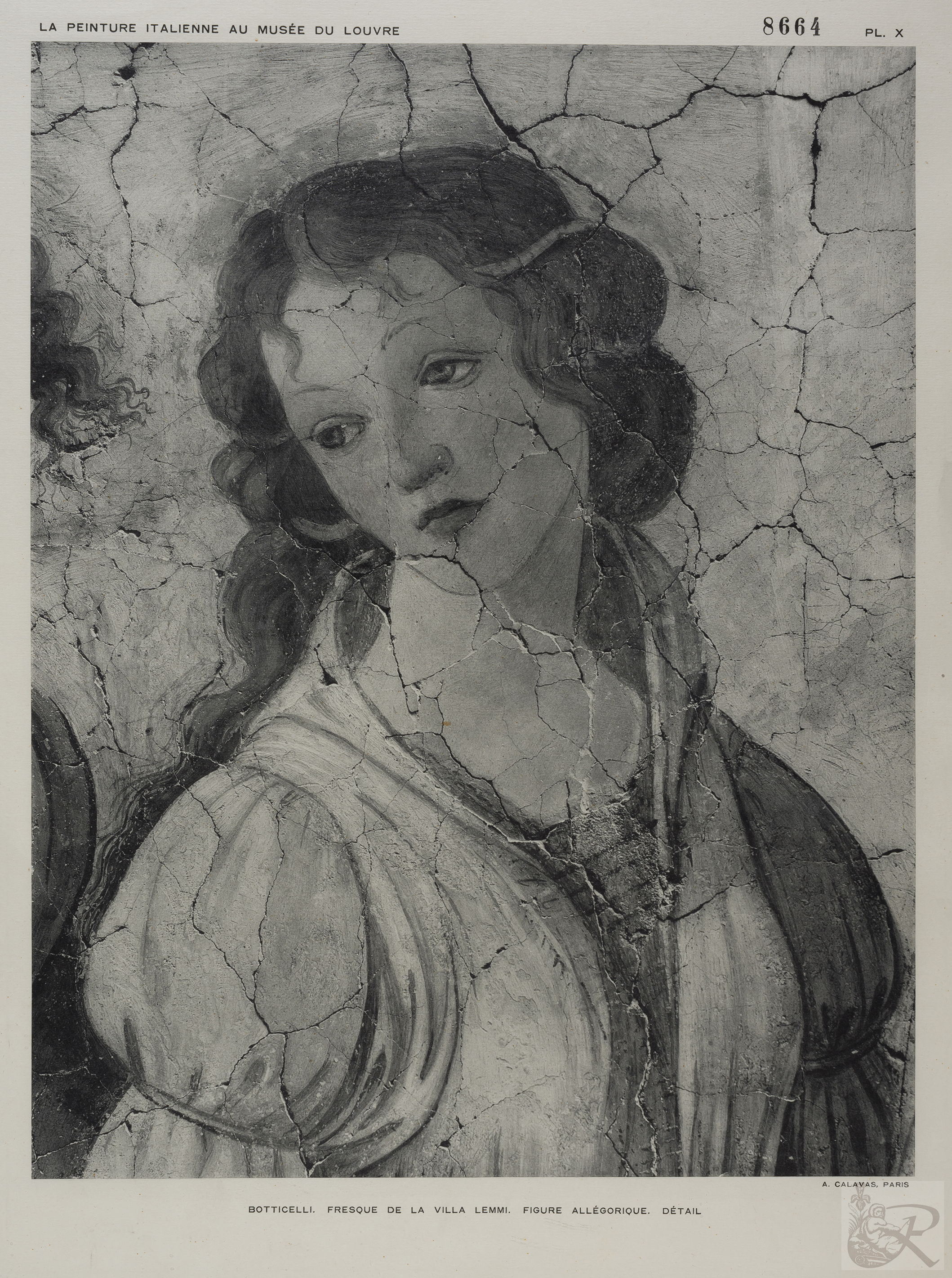 Immagine di anteprima