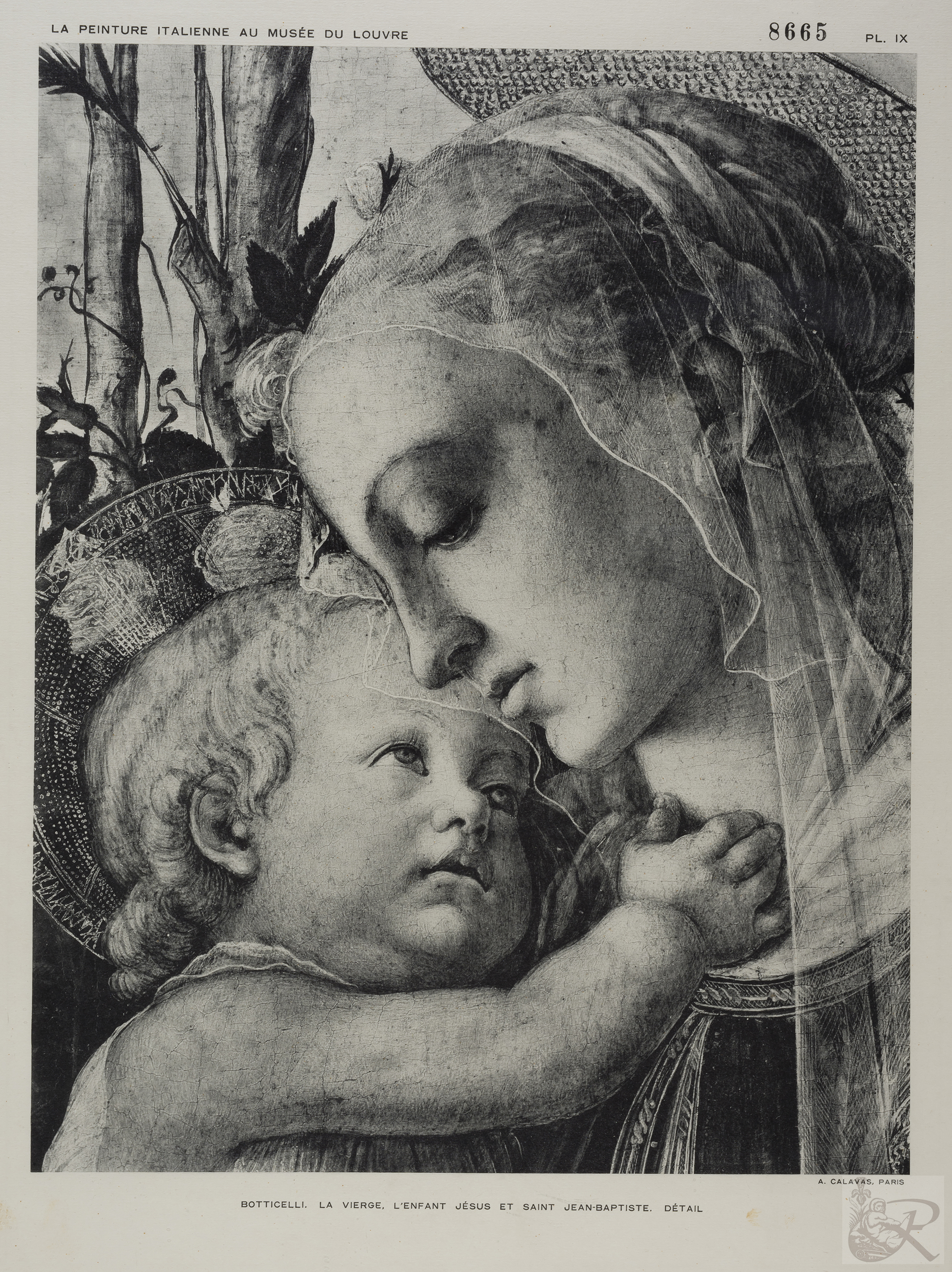 Immagine di anteprima