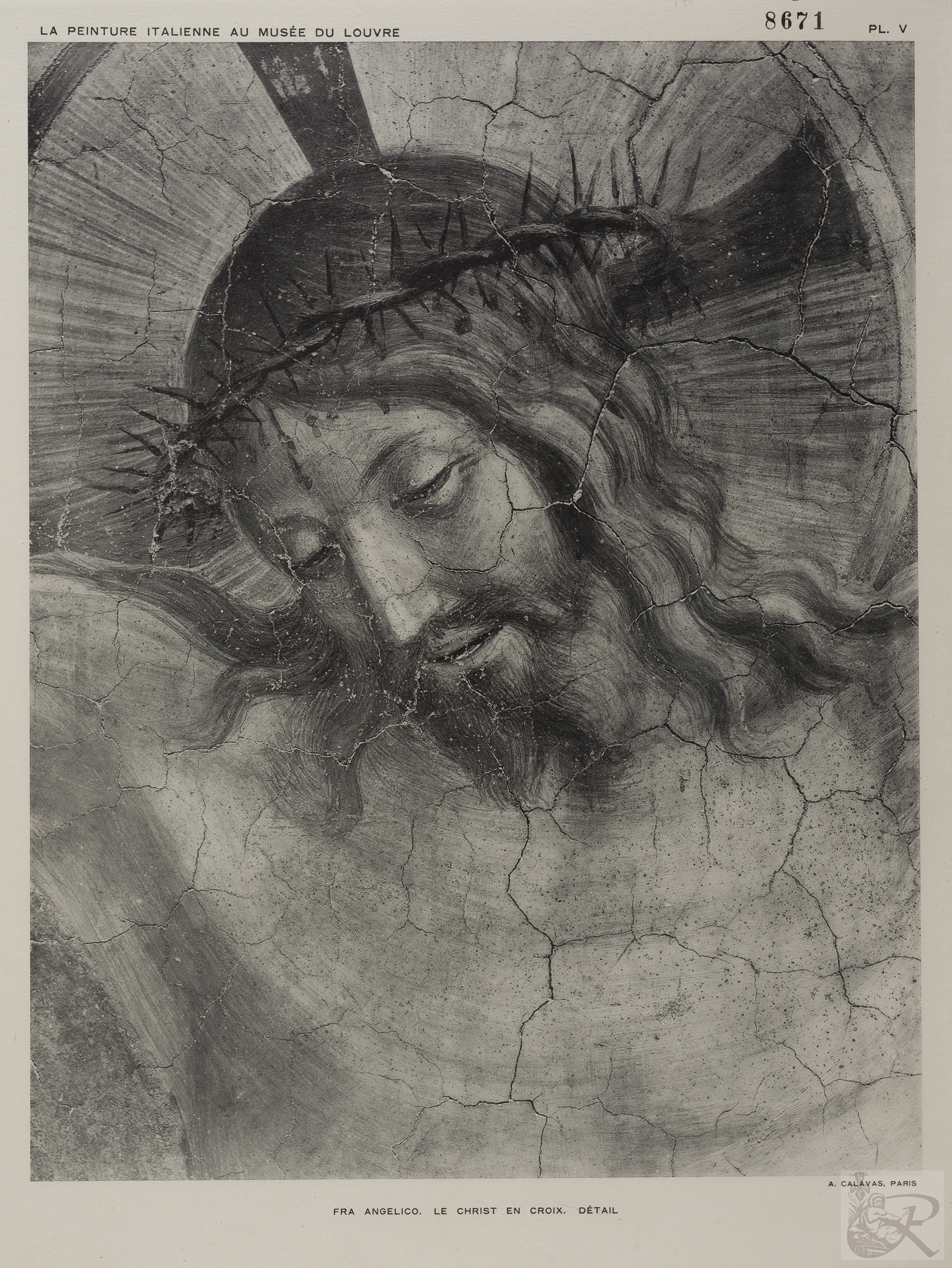 Immagine di anteprima