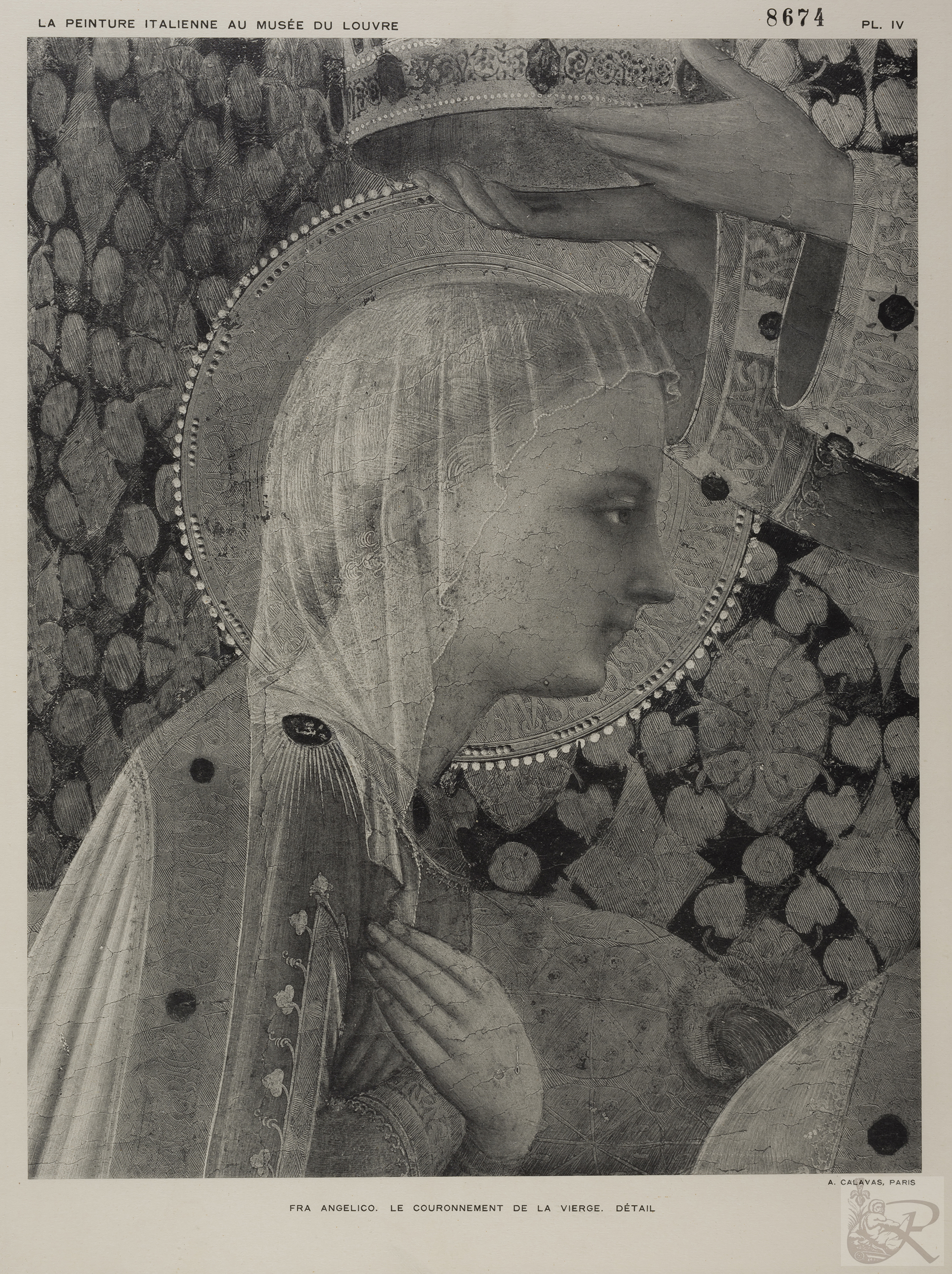 Immagine di anteprima