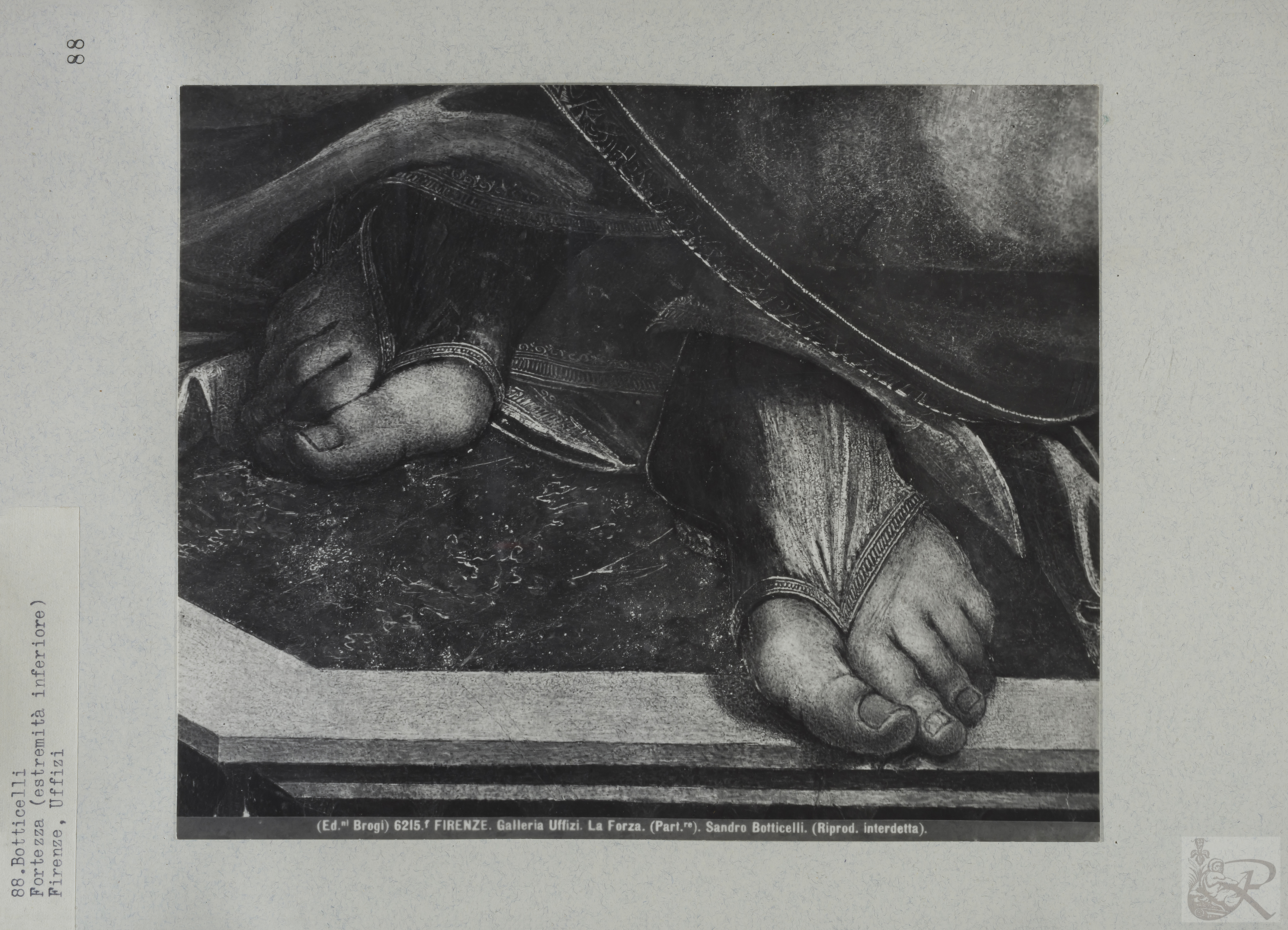 Immagine di anteprima