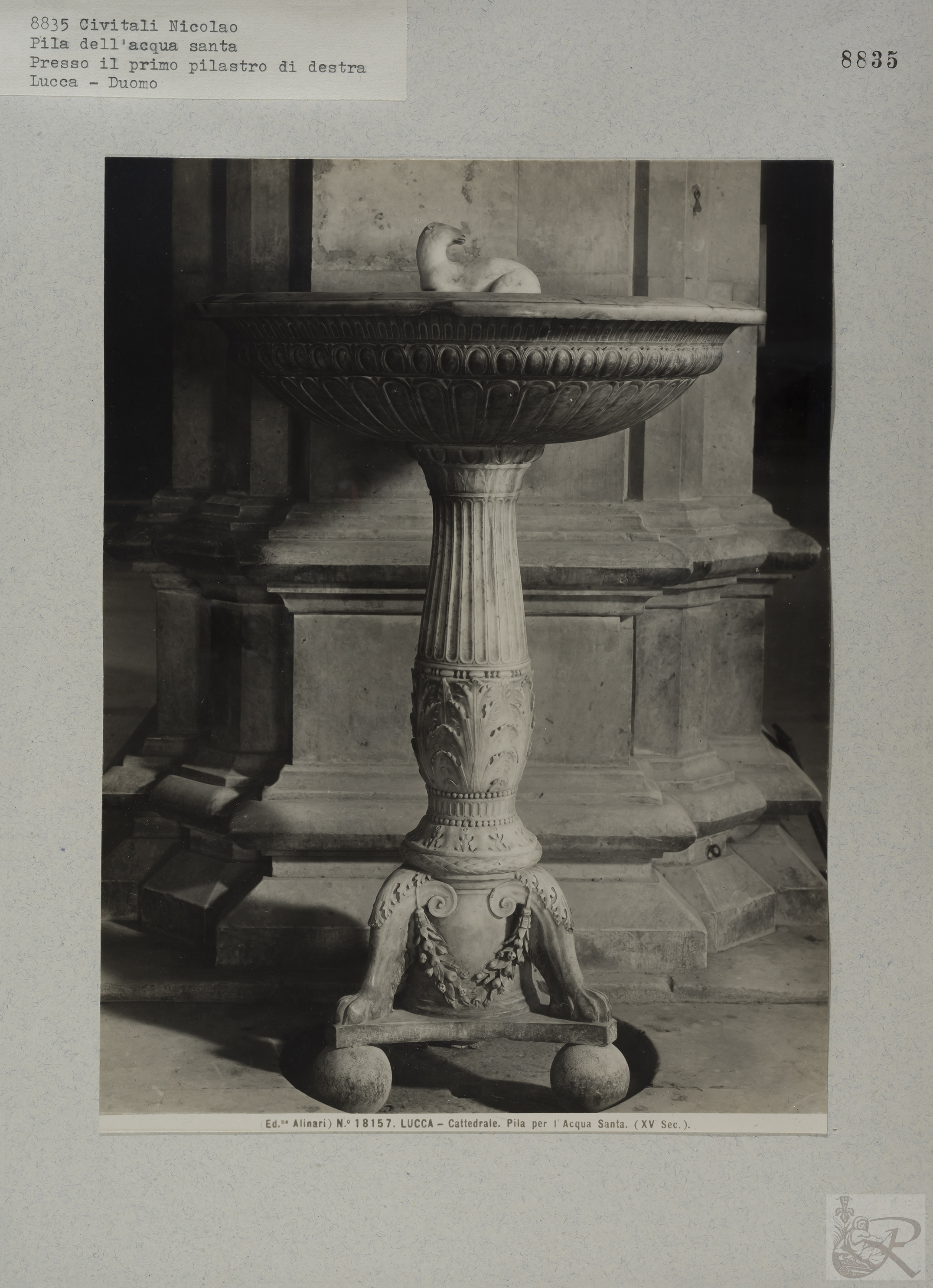 Immagine di anteprima