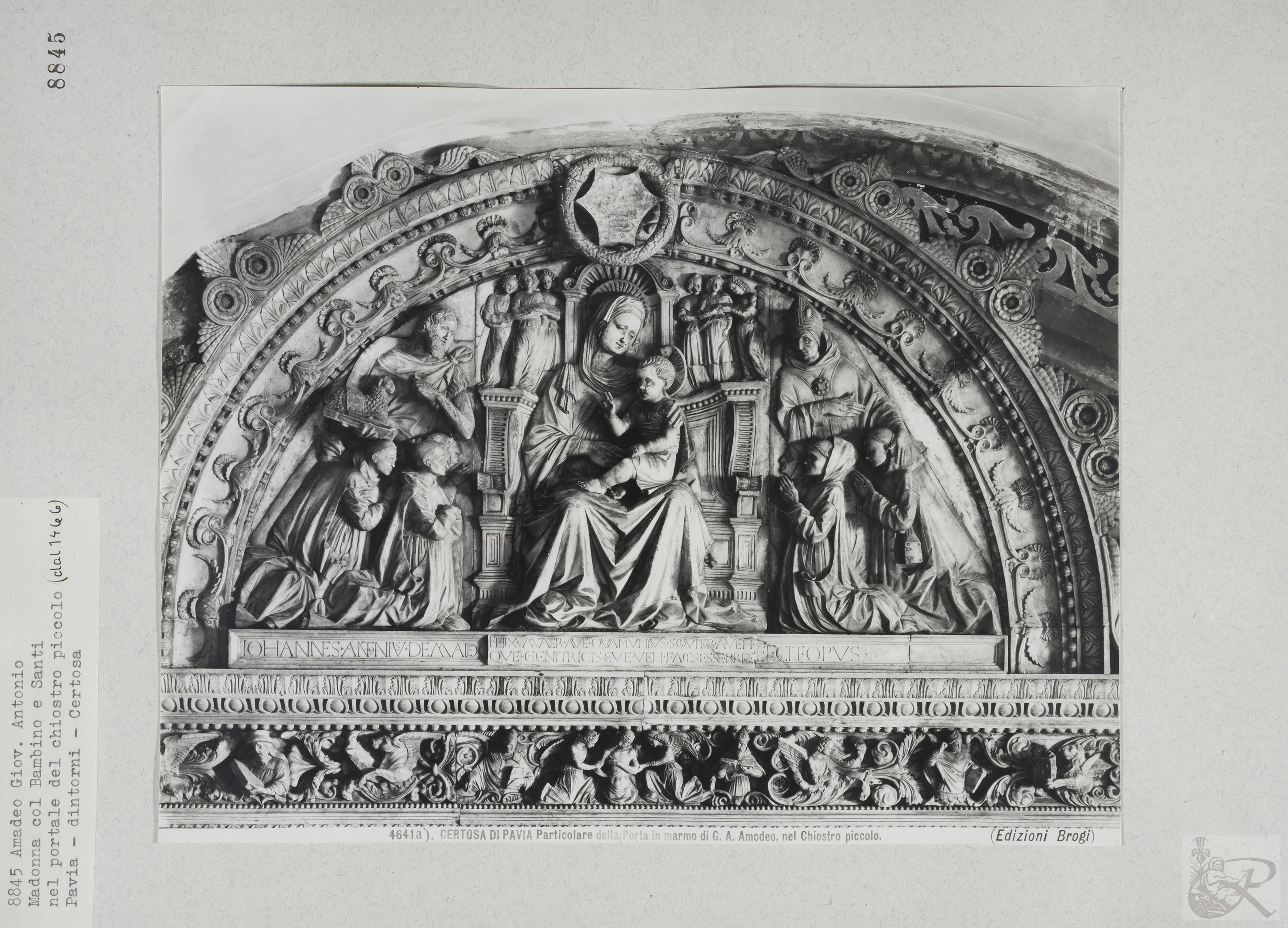 Immagine di anteprima