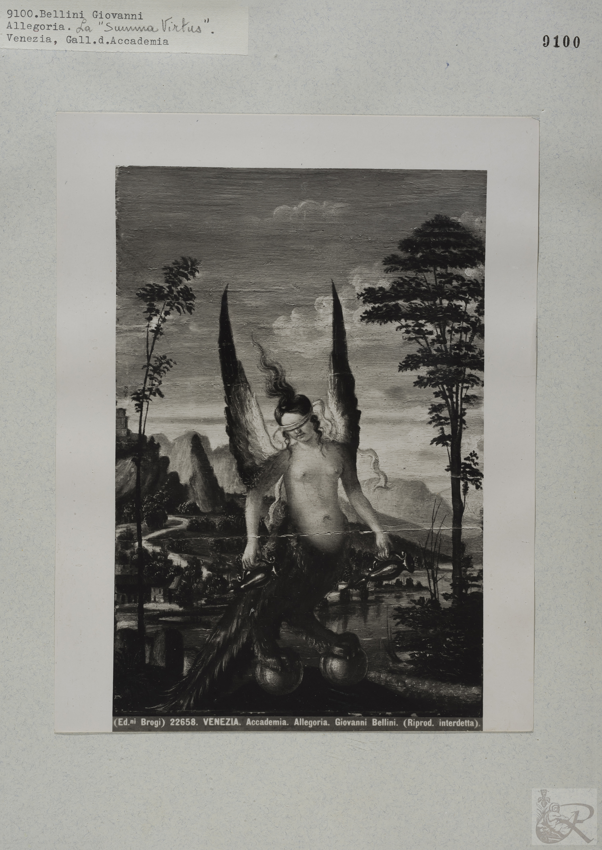 Immagine di anteprima