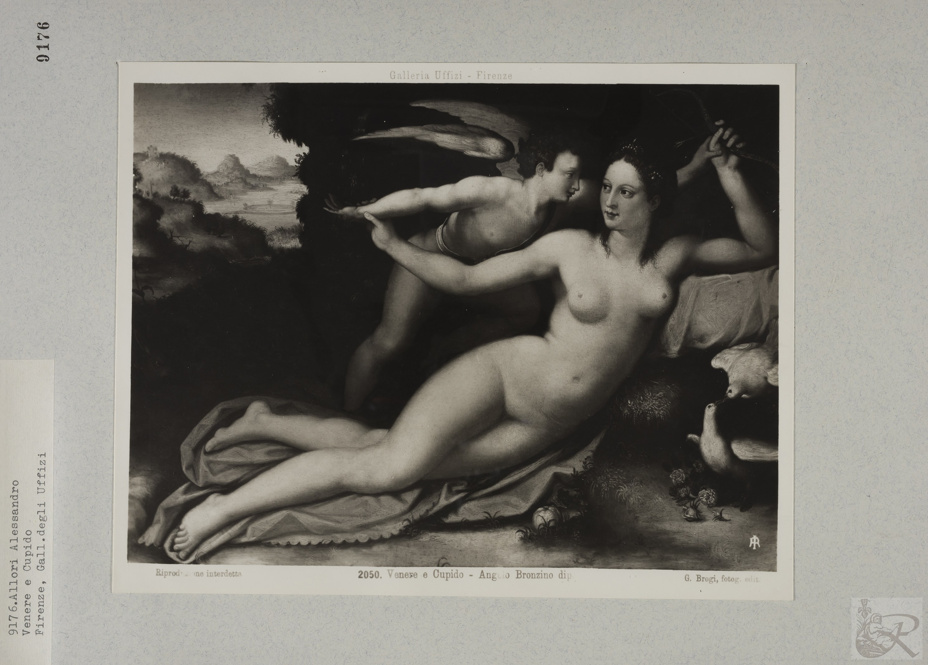 Immagine di anteprima