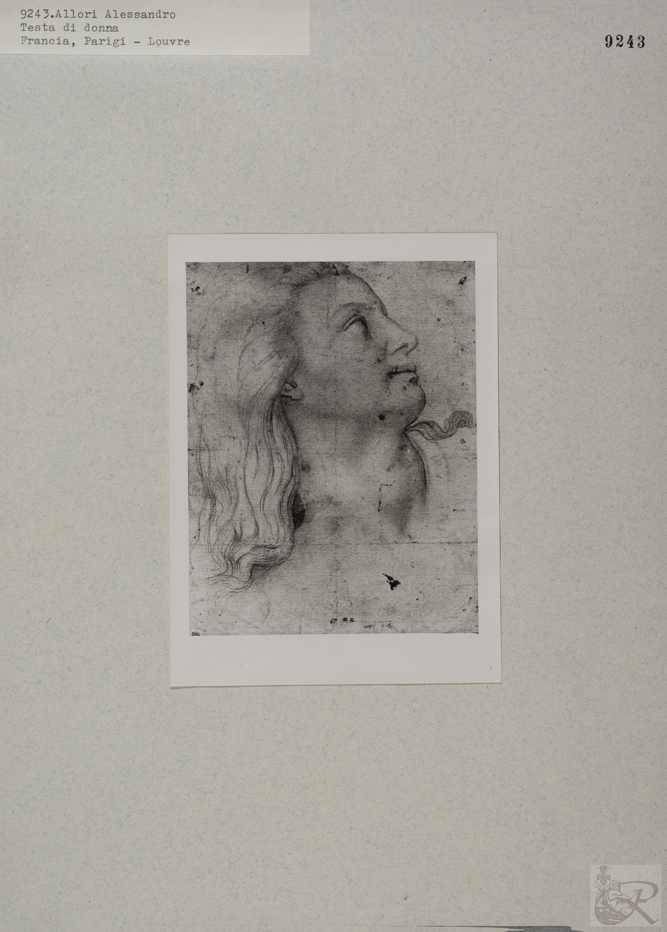 Immagine di anteprima