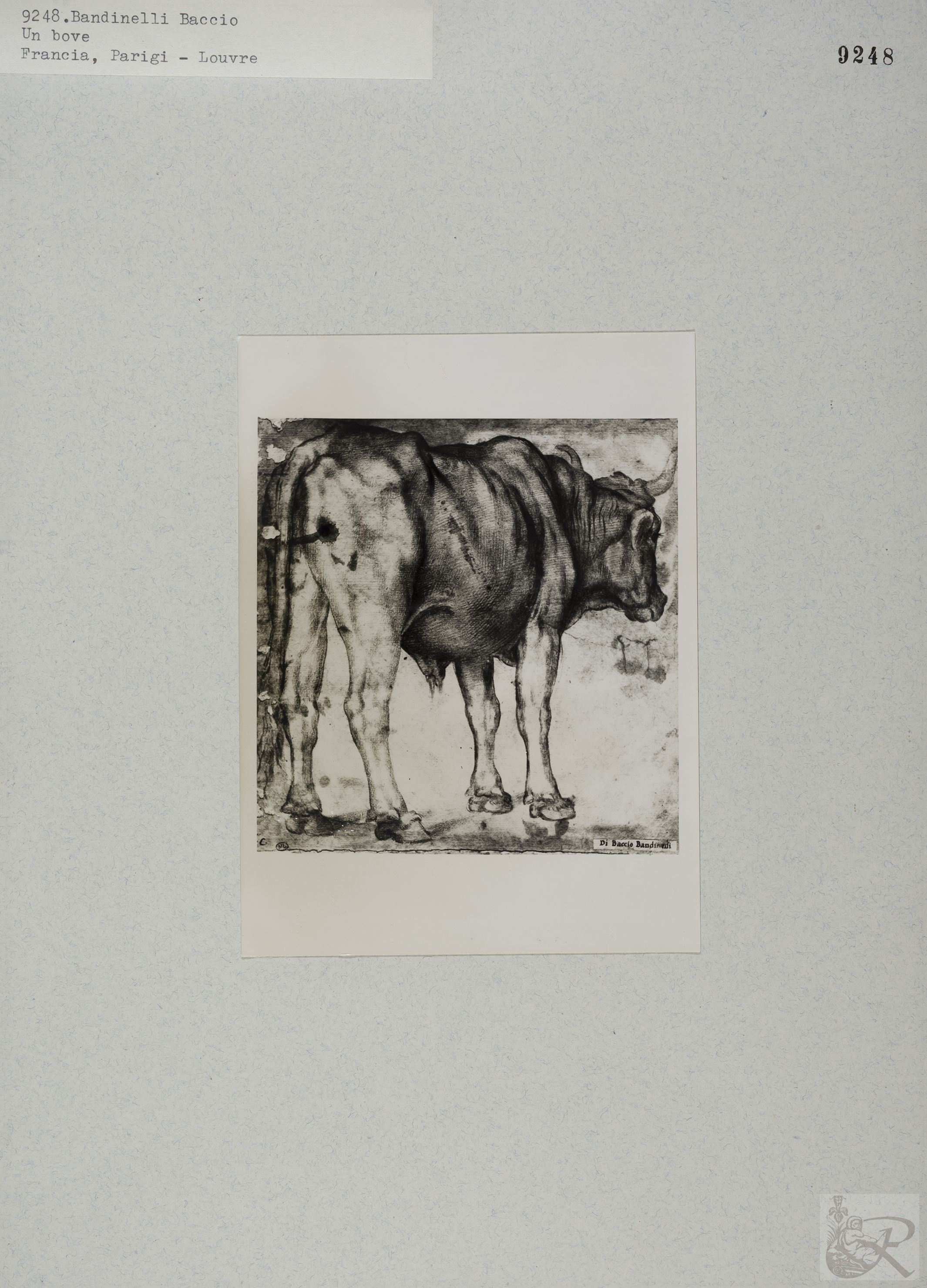 Immagine di anteprima