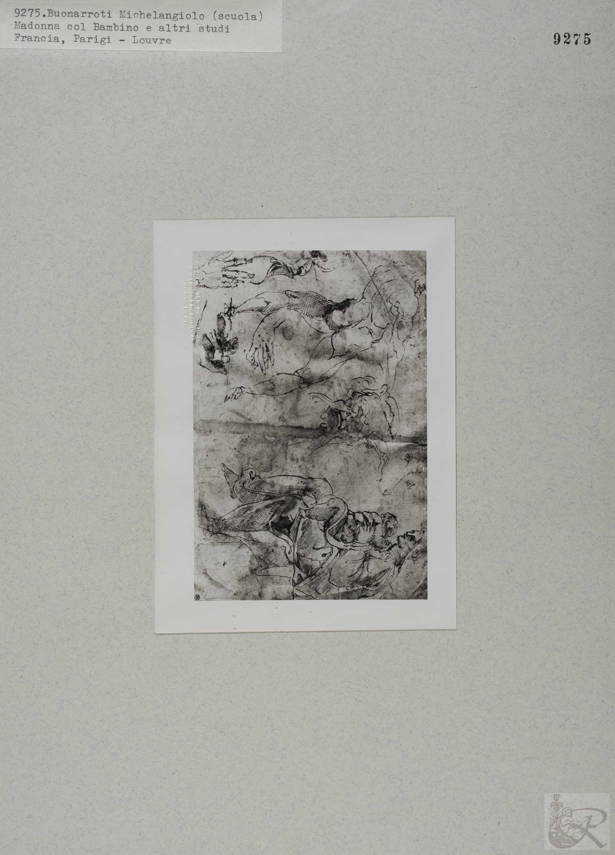 Immagine di anteprima