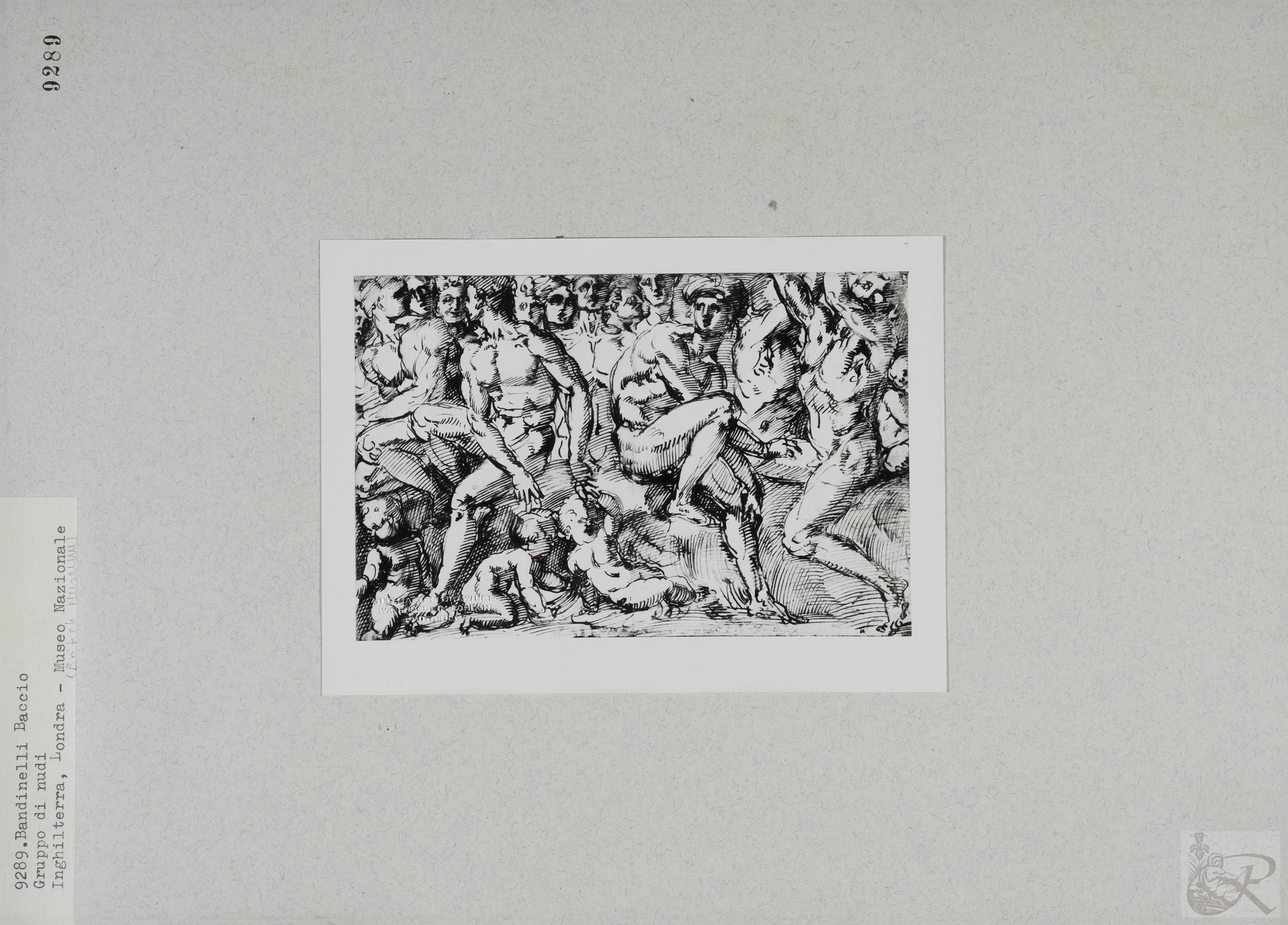 Immagine di anteprima