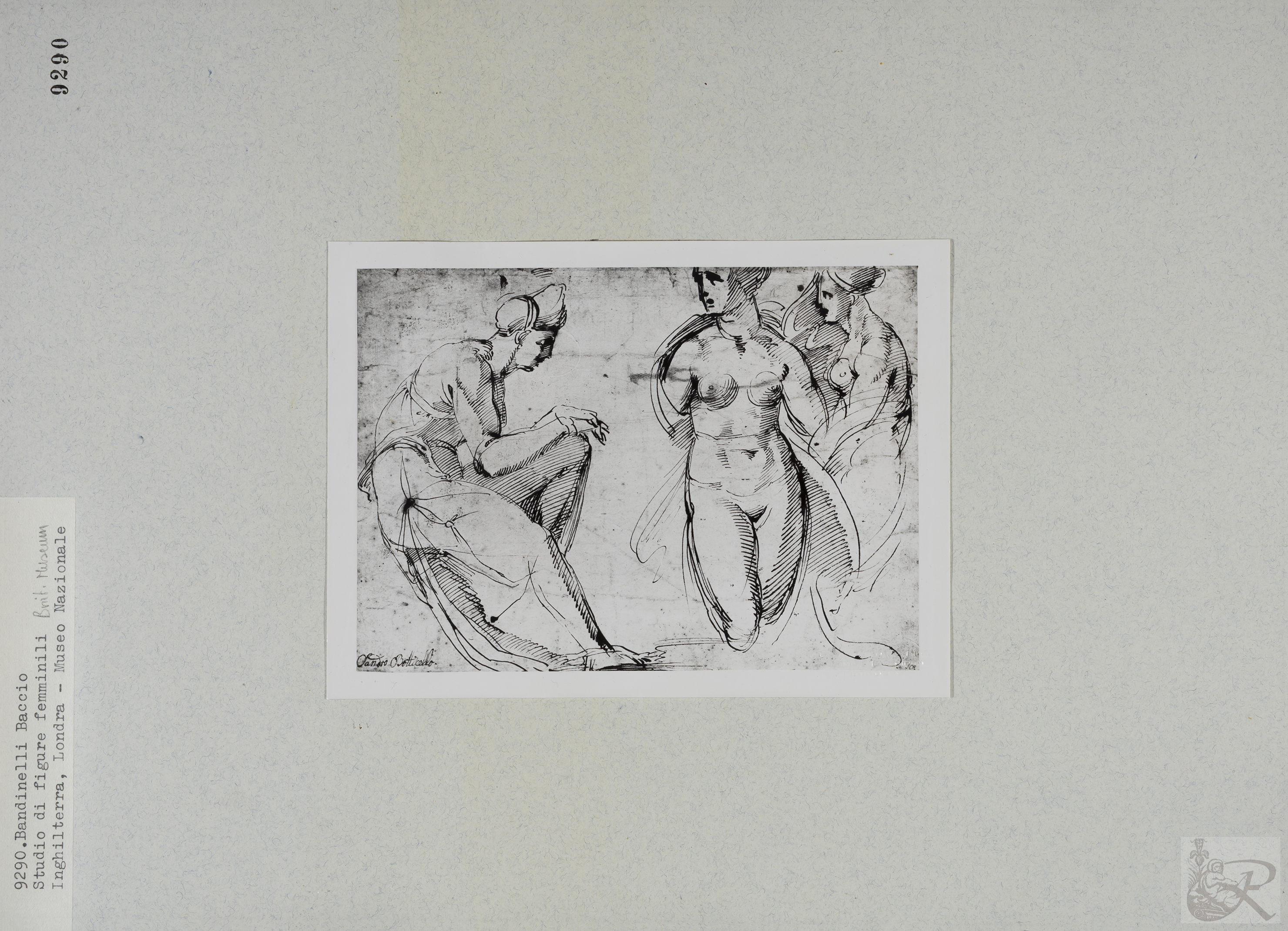 Immagine di anteprima