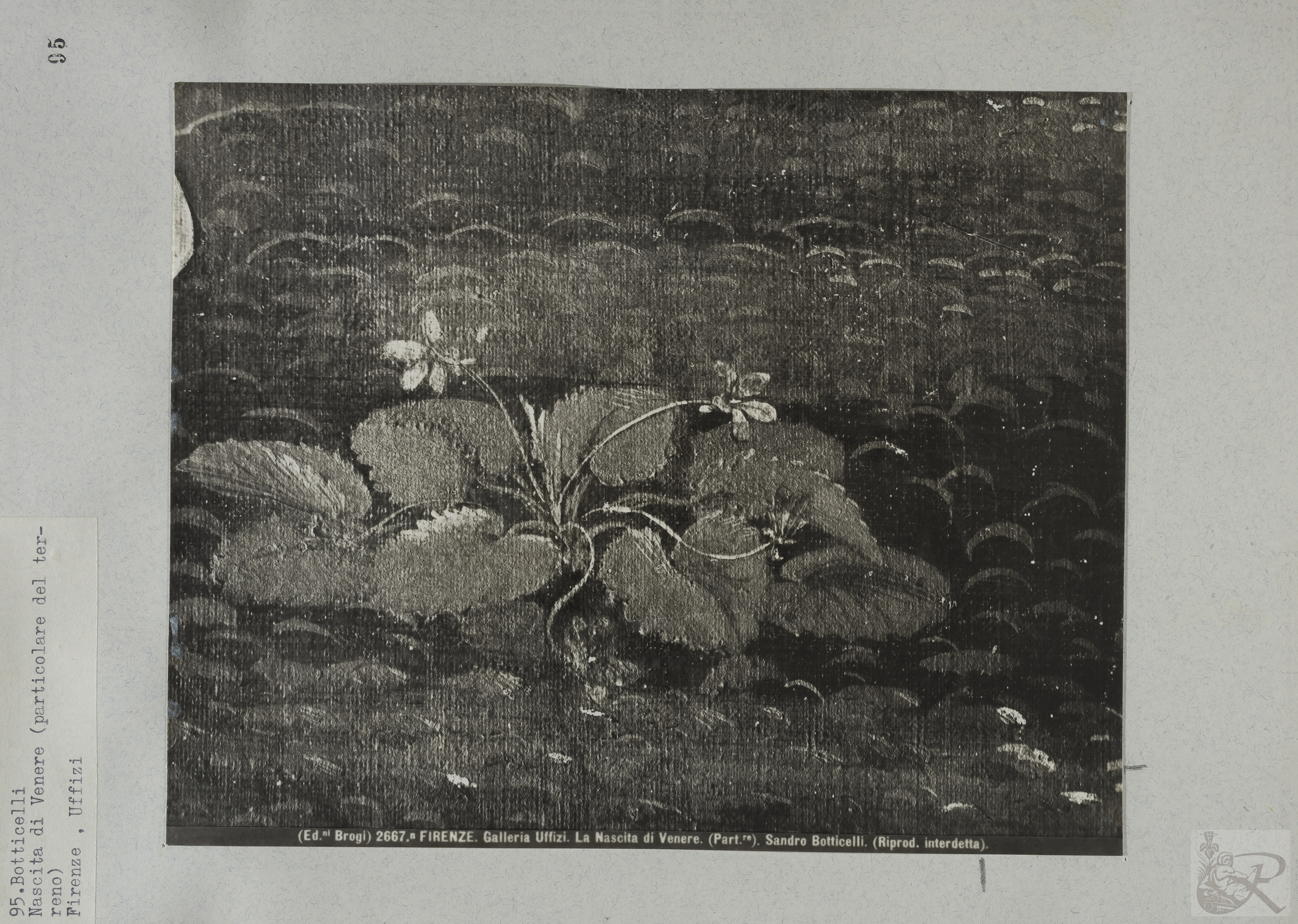 Immagine di anteprima