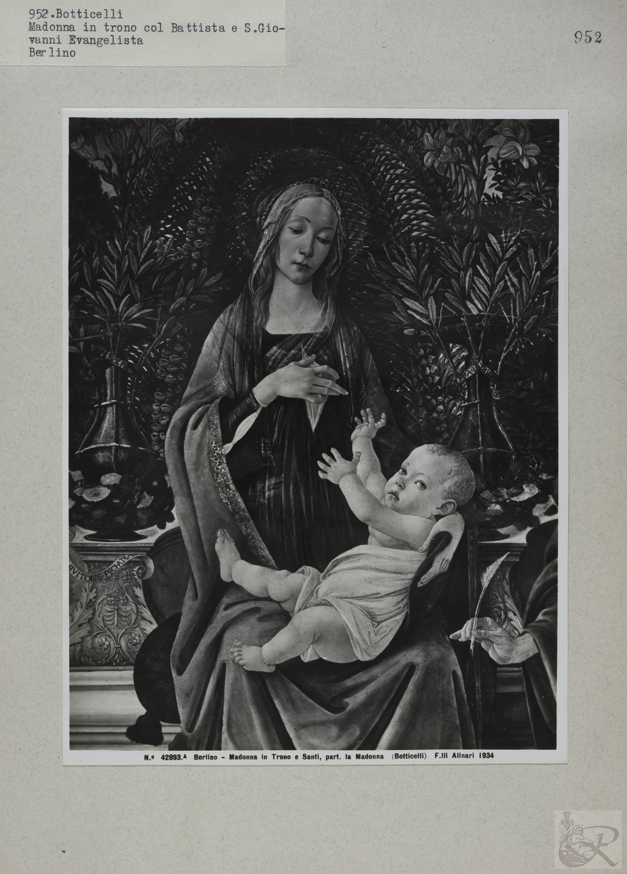 Immagine di anteprima