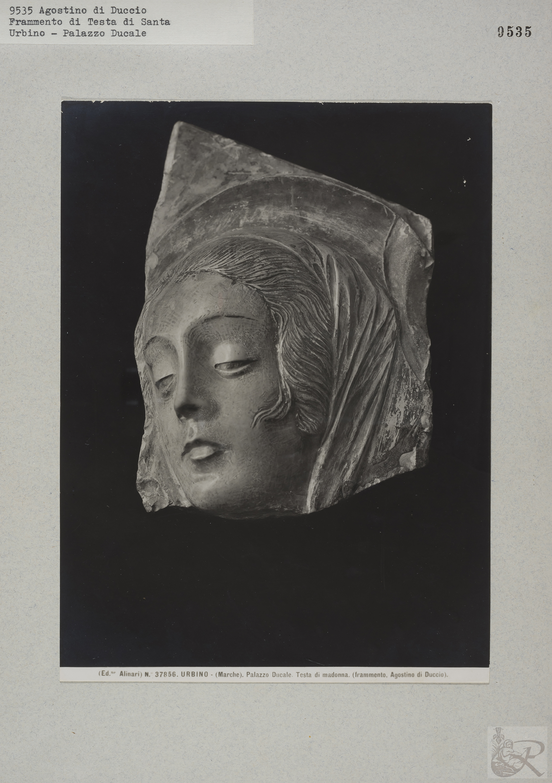 Immagine di anteprima