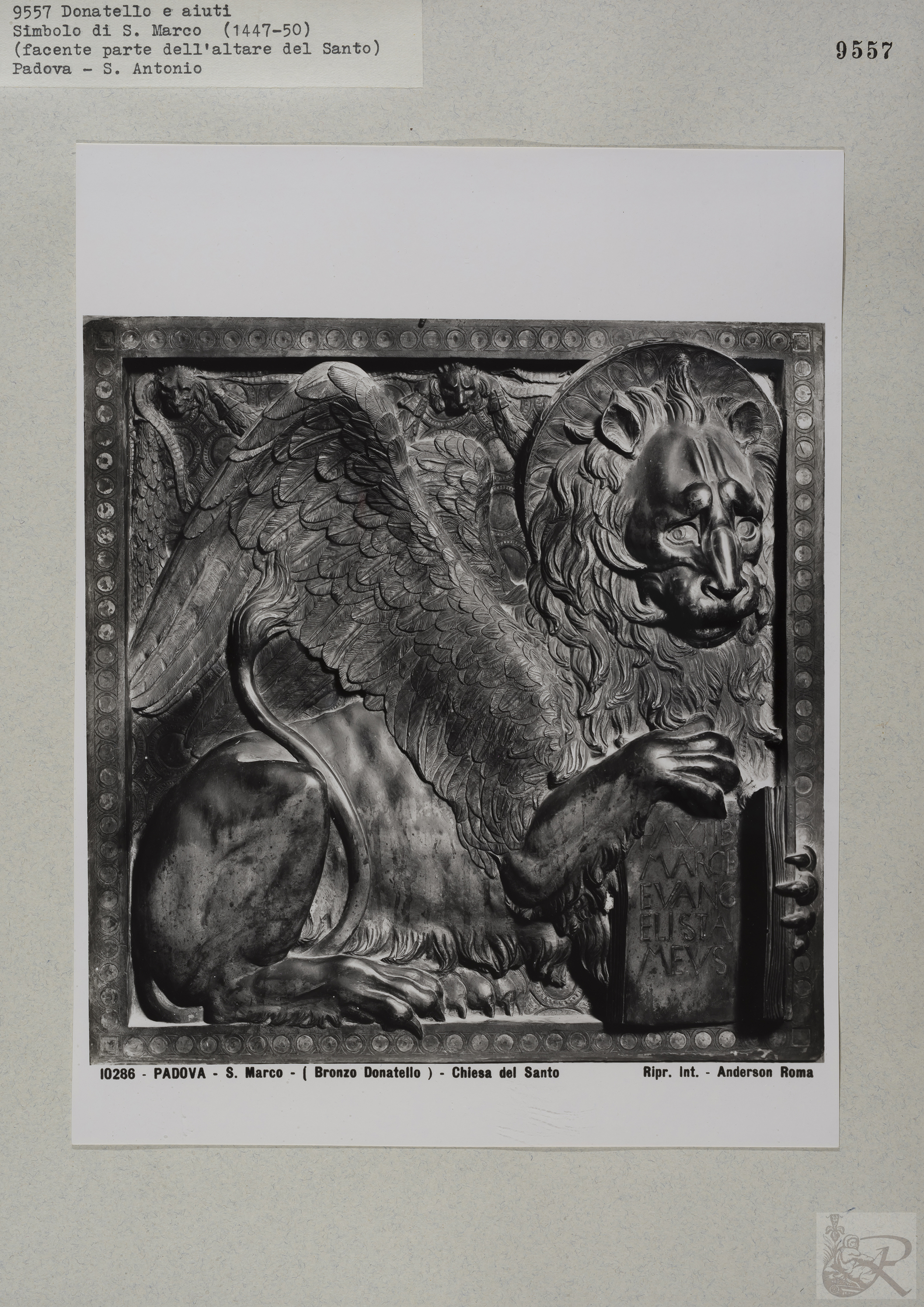 Immagine di anteprima