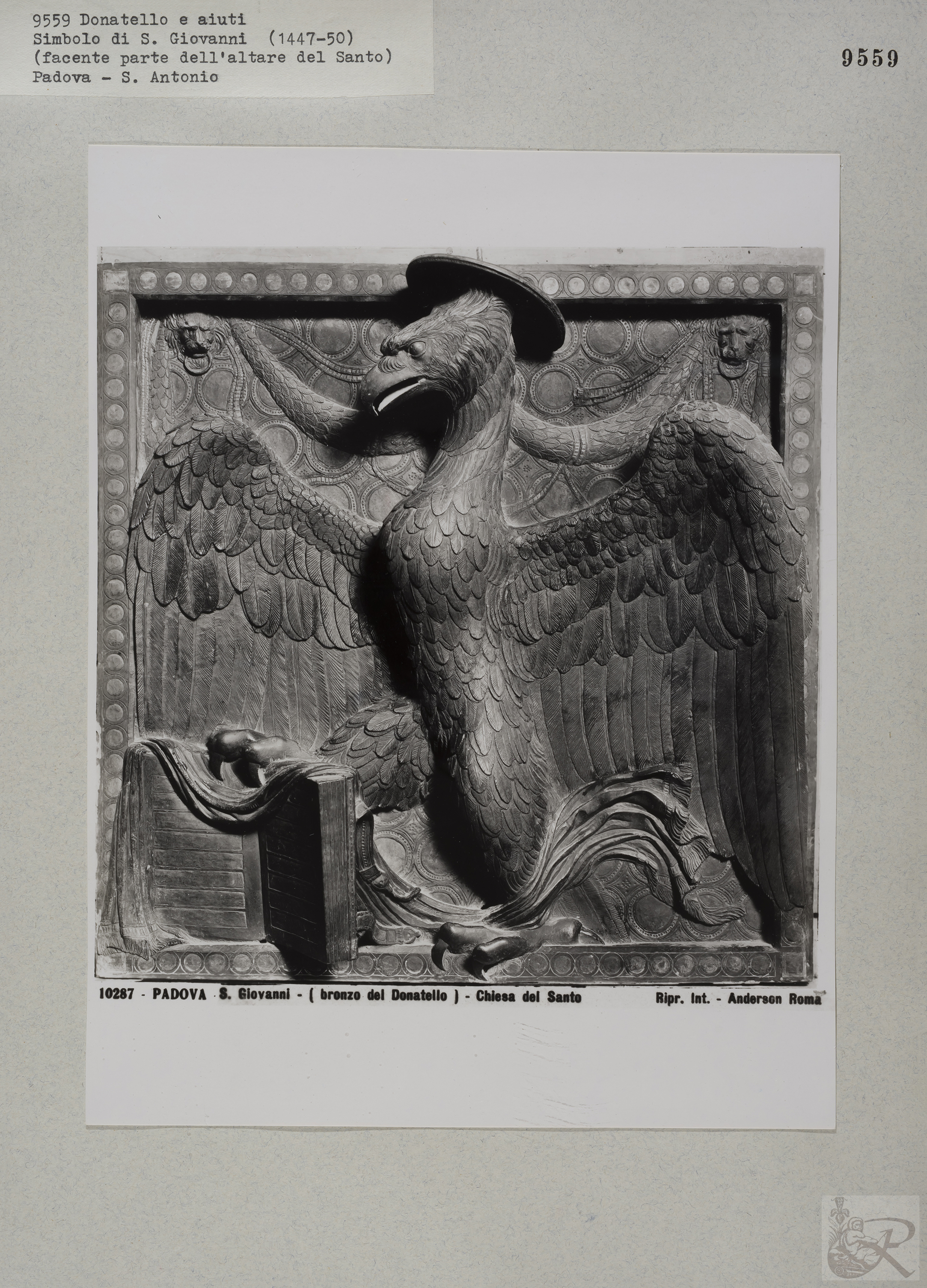 Immagine di anteprima