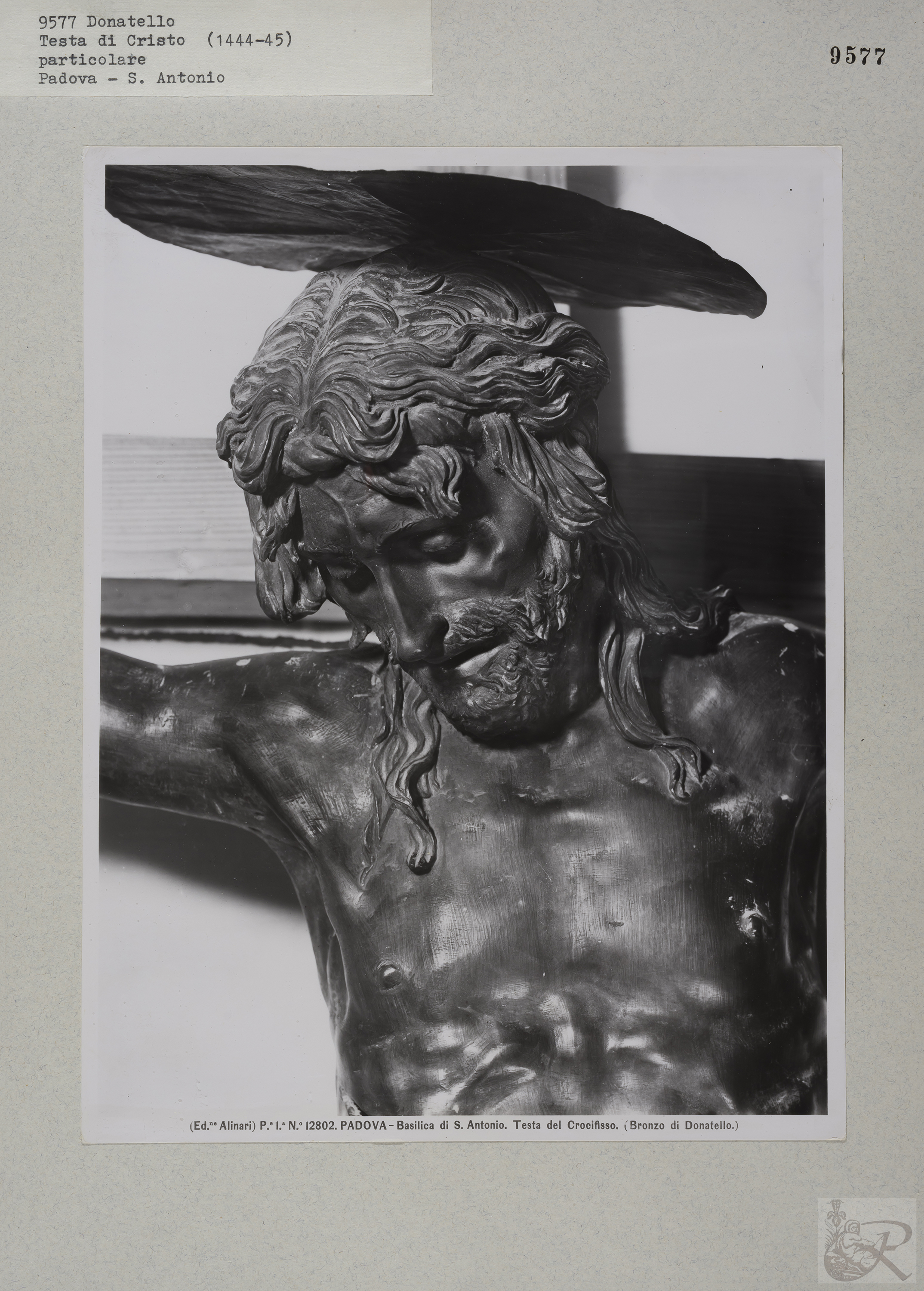 Immagine di anteprima