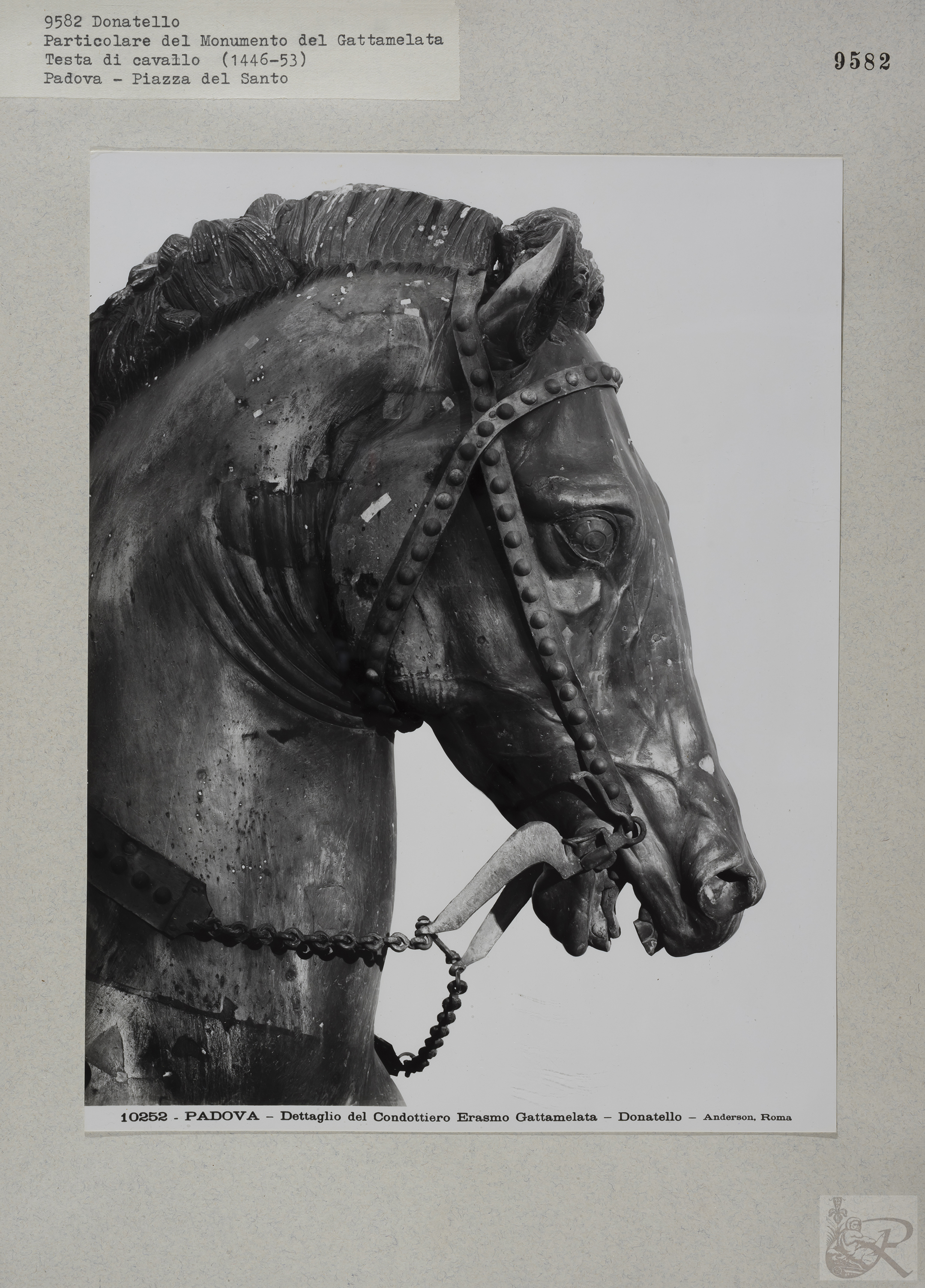 Immagine di anteprima