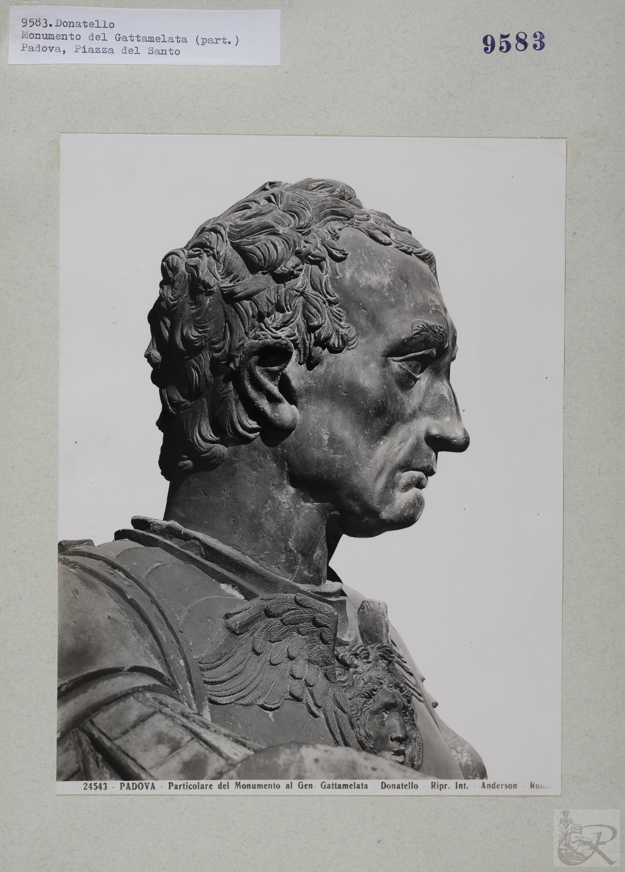 Immagine di anteprima