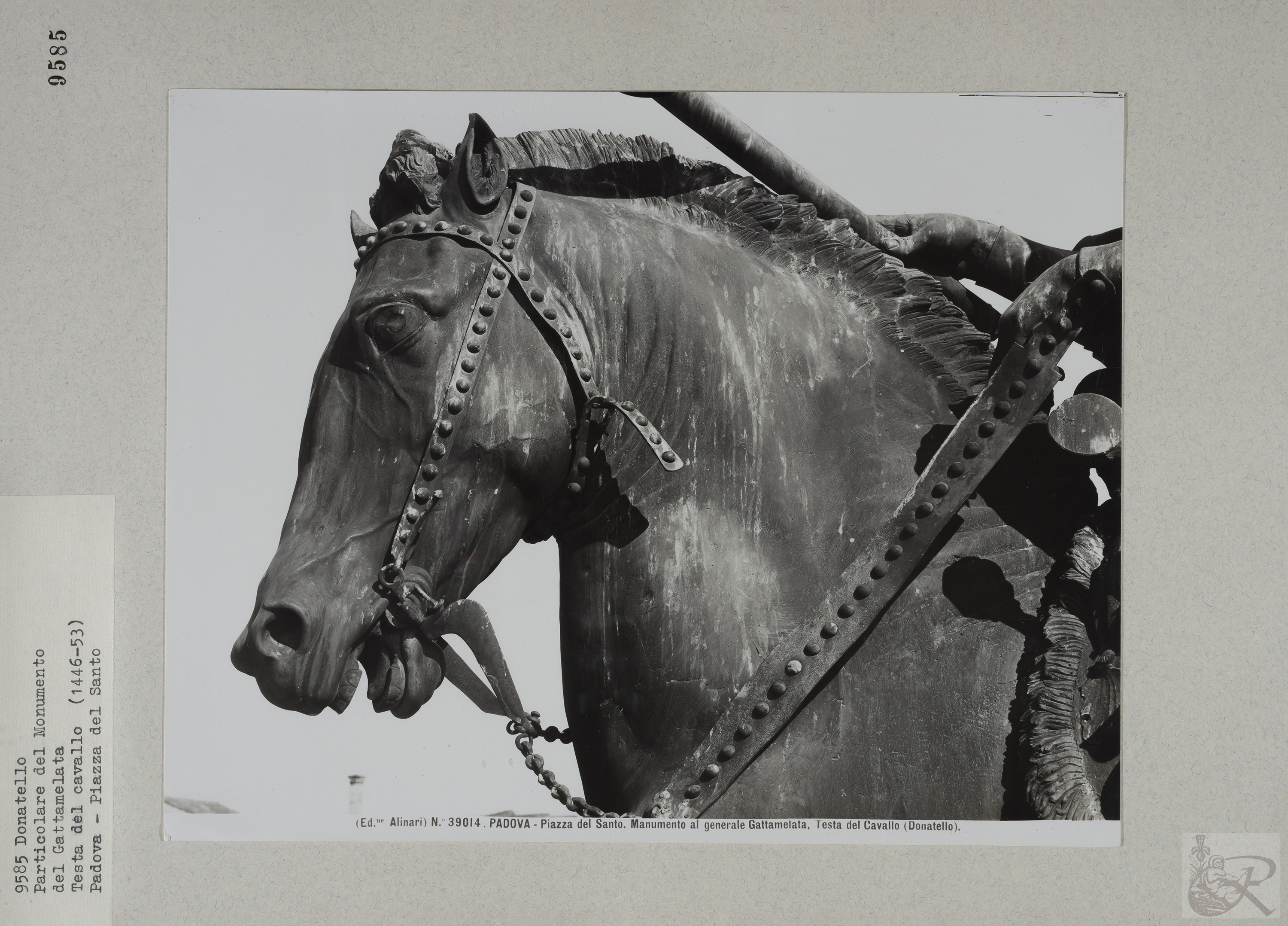 Immagine di anteprima