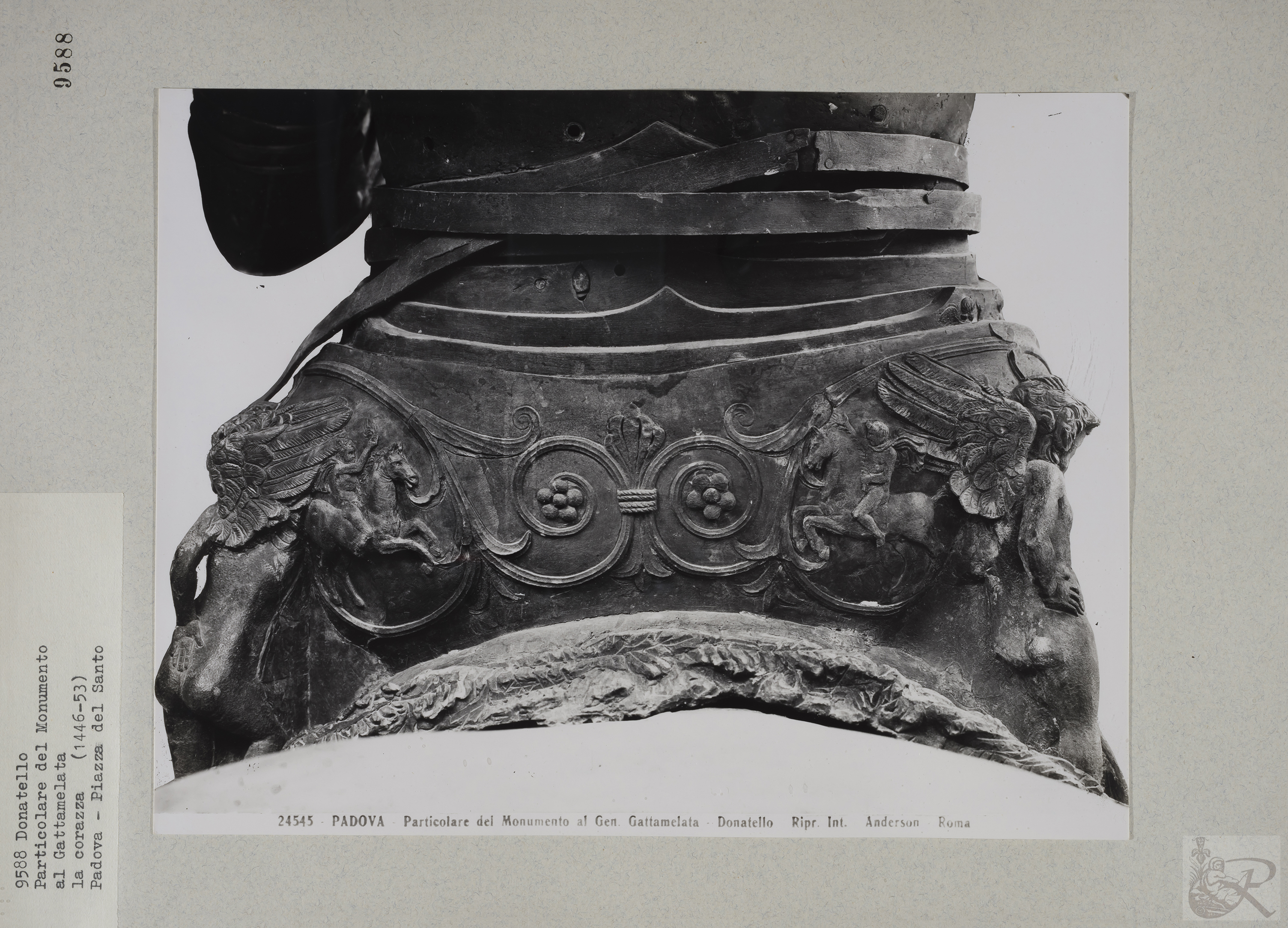 Immagine di anteprima