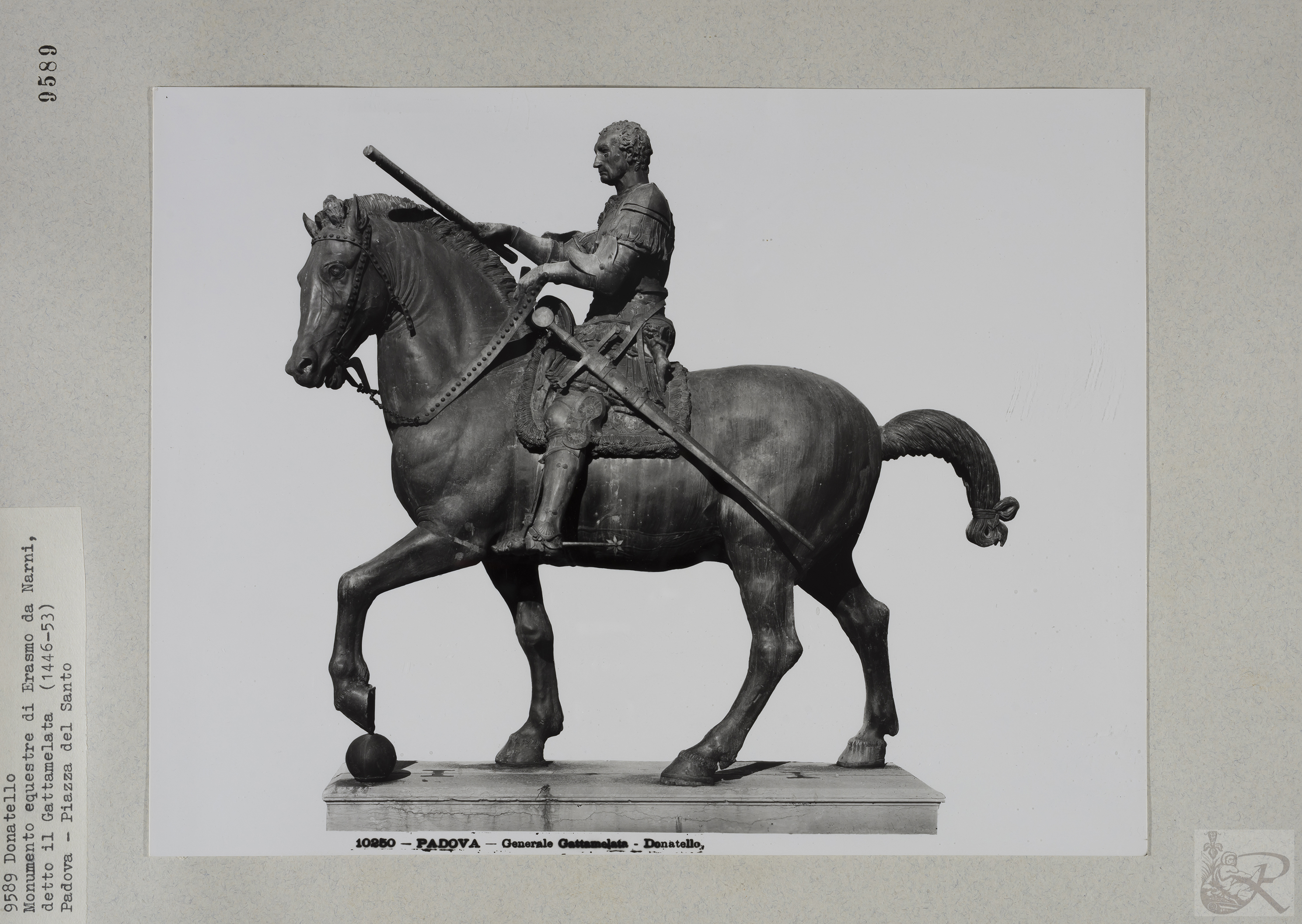 Immagine di anteprima